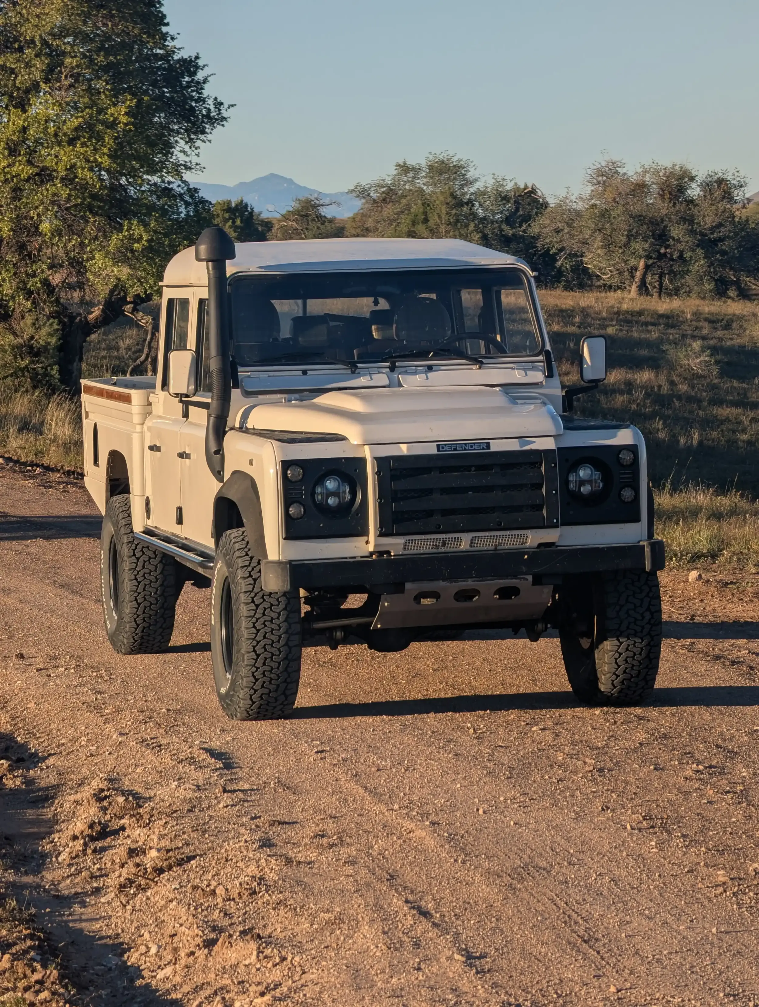 1994 Land Rover Defender 130 Pickup - 3