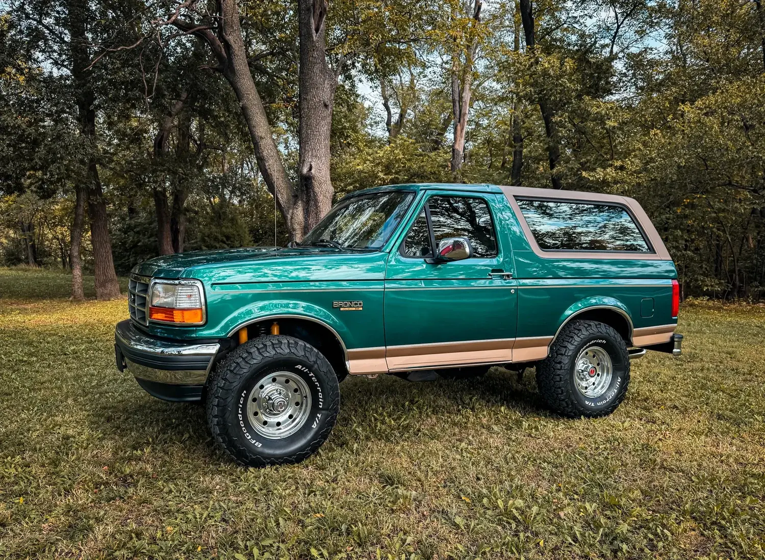 1996 Ford Bronco Eddie Bauer Edition - 2