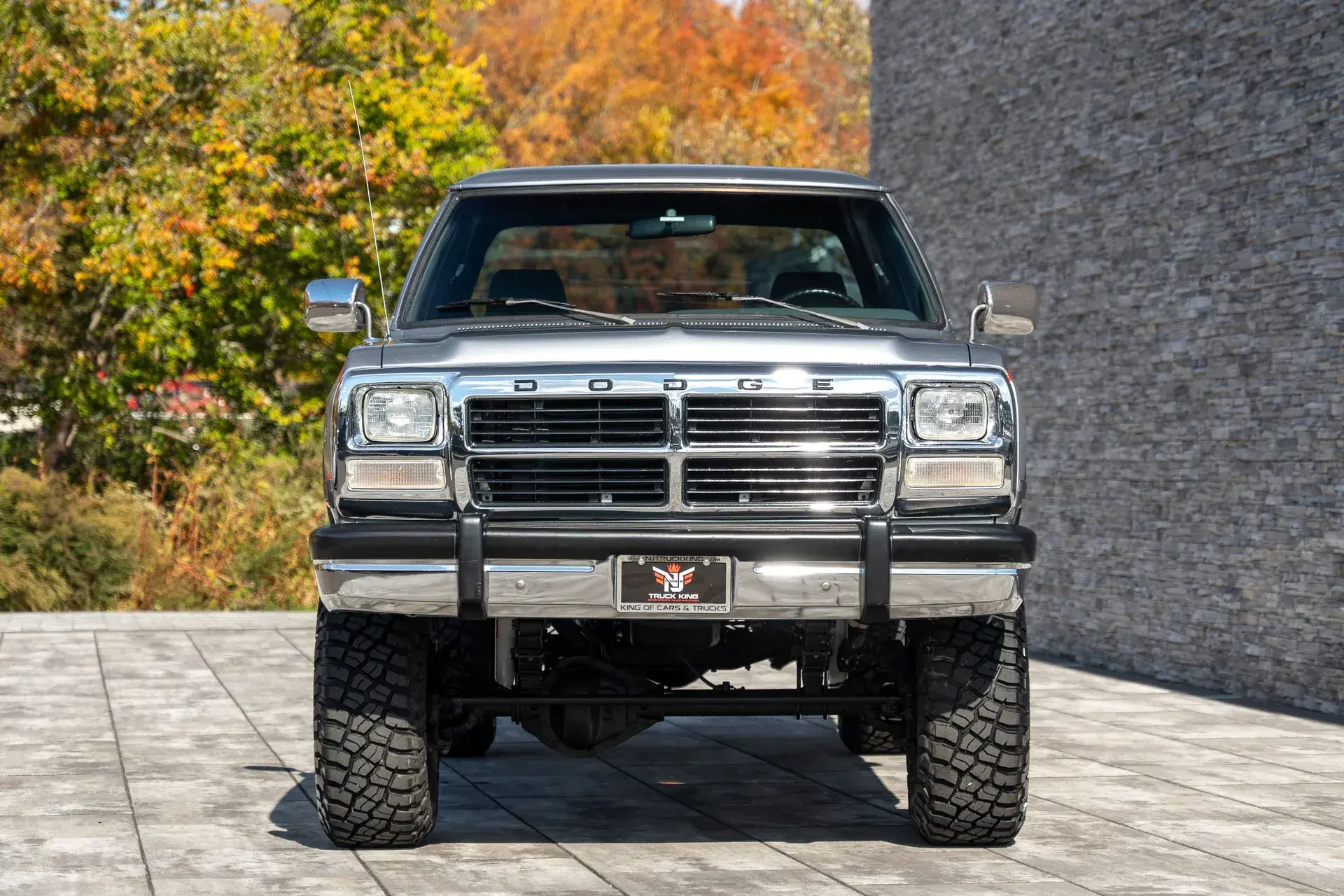 1993 Dodge Ram W250 - 3