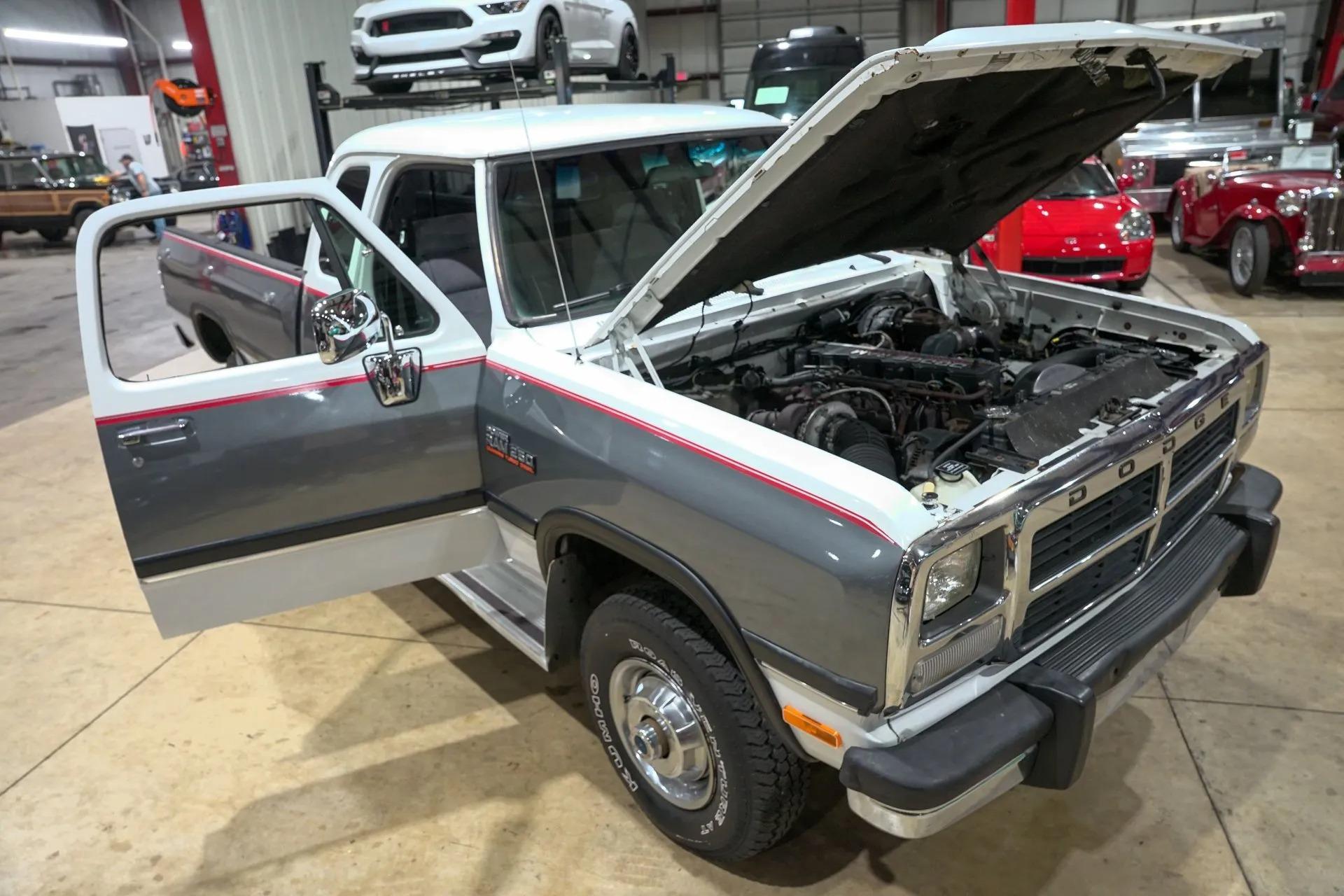 1992 Dodge Ram W250 LE