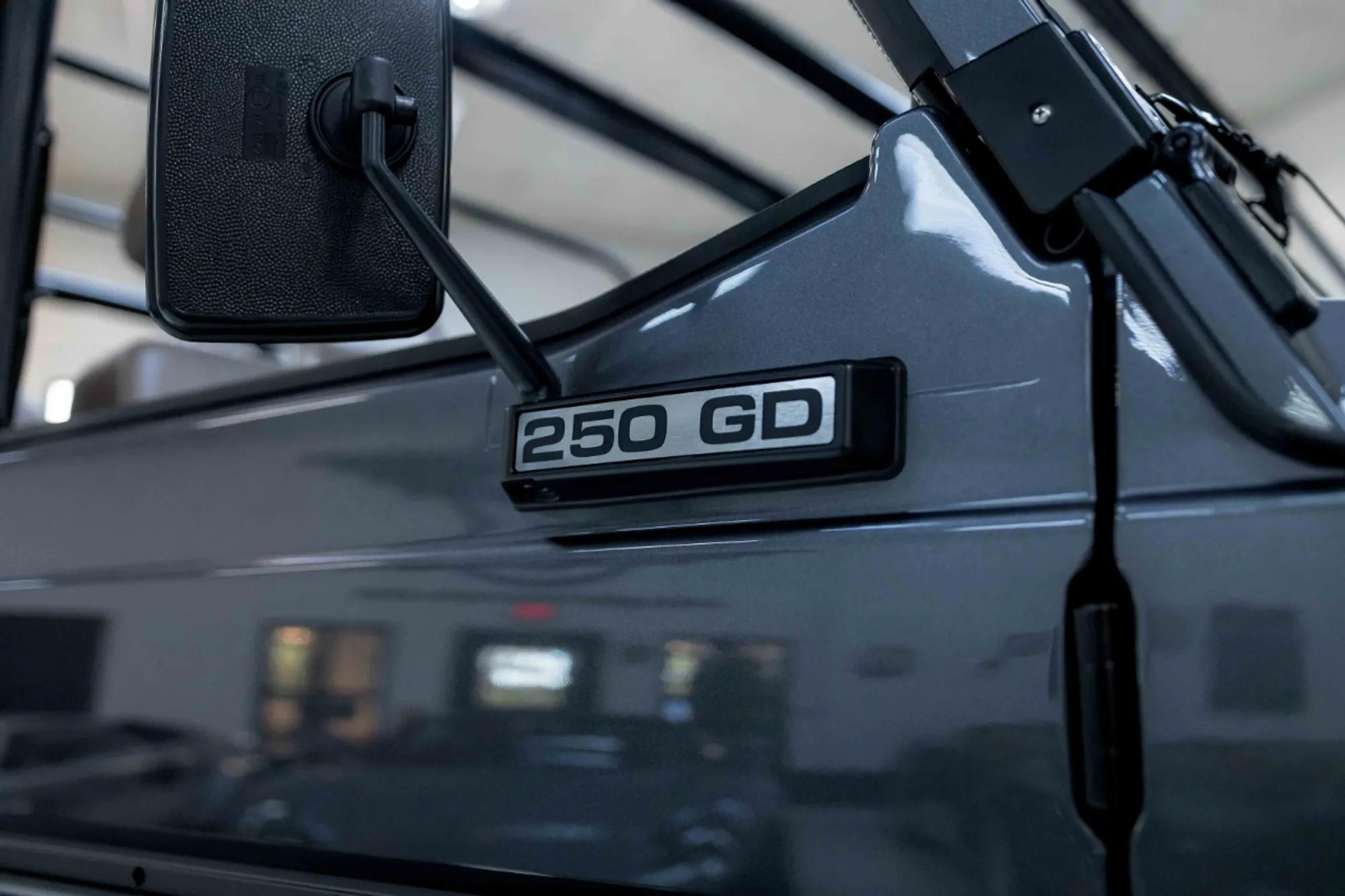 1993 Mercedes-Benz 250 GD