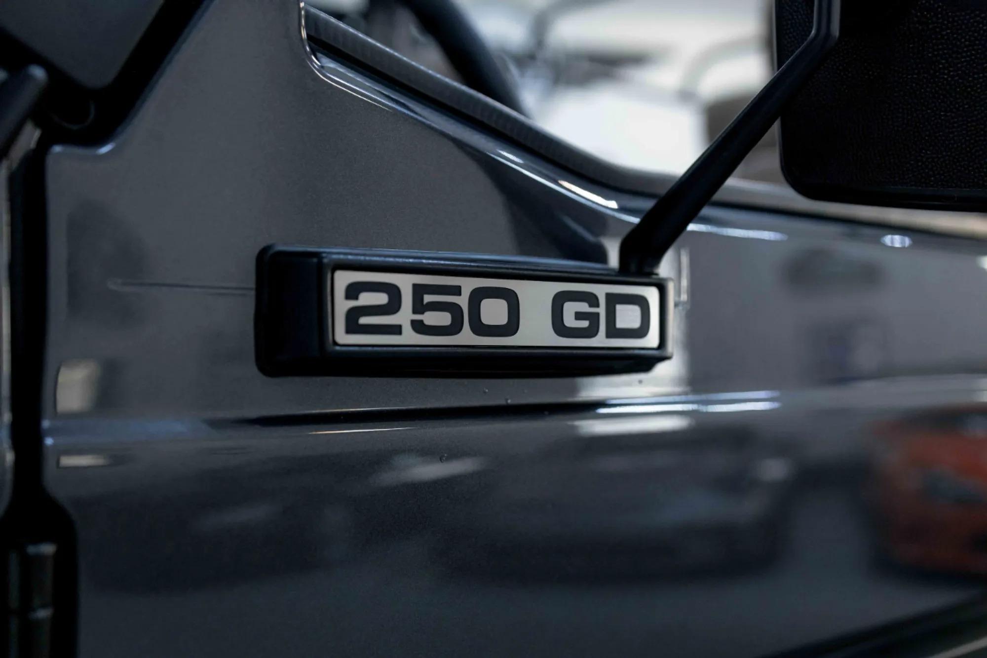 1993 Mercedes-Benz 250 GD