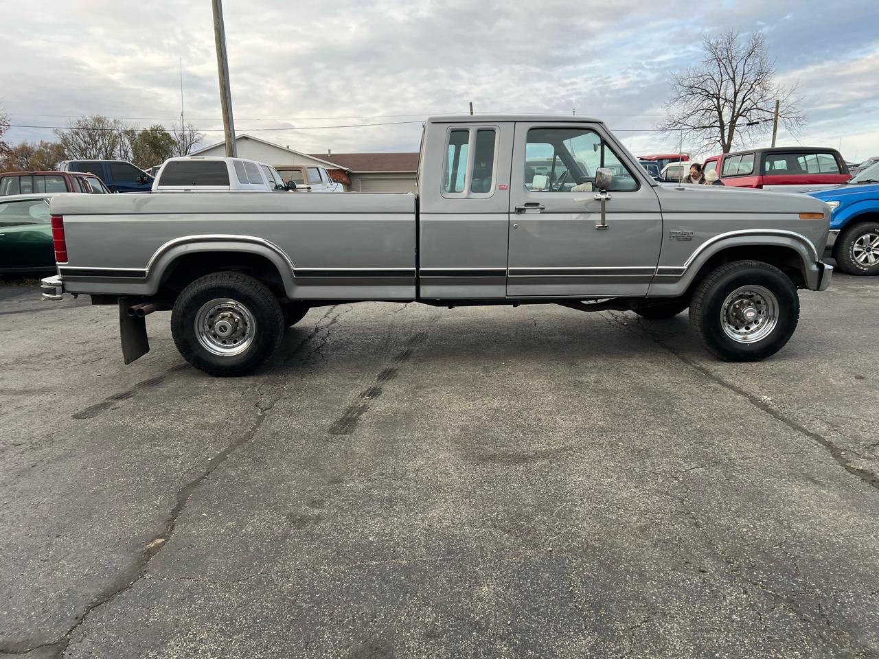 1986 Ford F-250 - 3