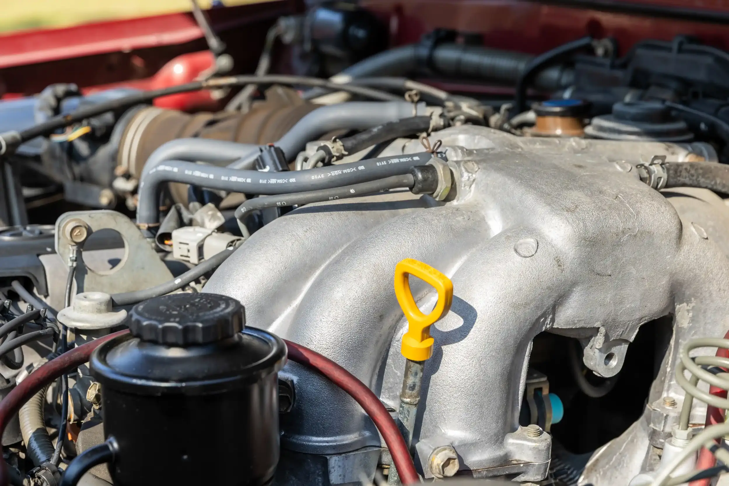 1996 Toyota Land Cruiser