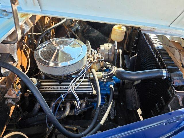 1955 Dodge Pickup 5-Window