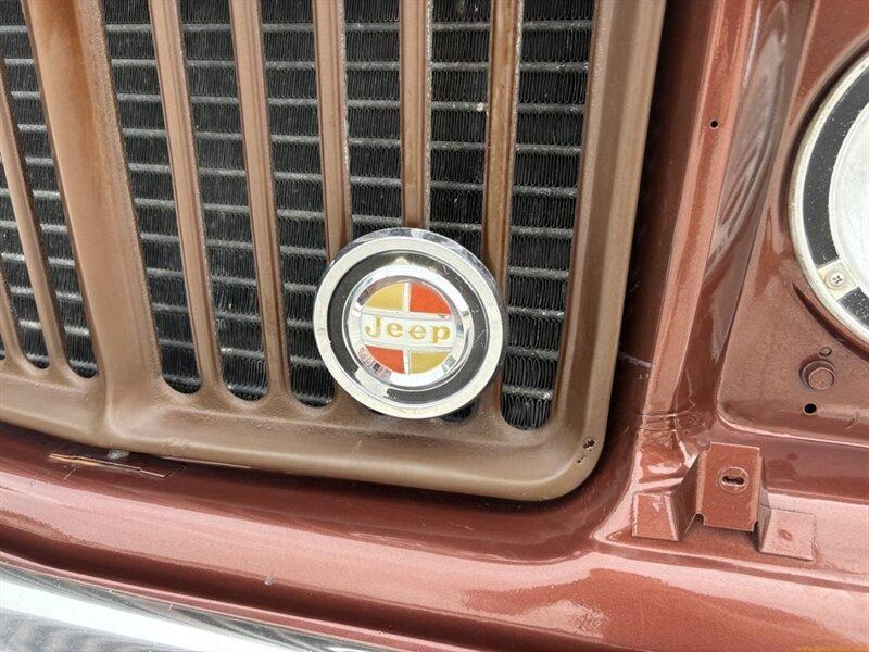 1981 Jeep Wagoneer Limited
