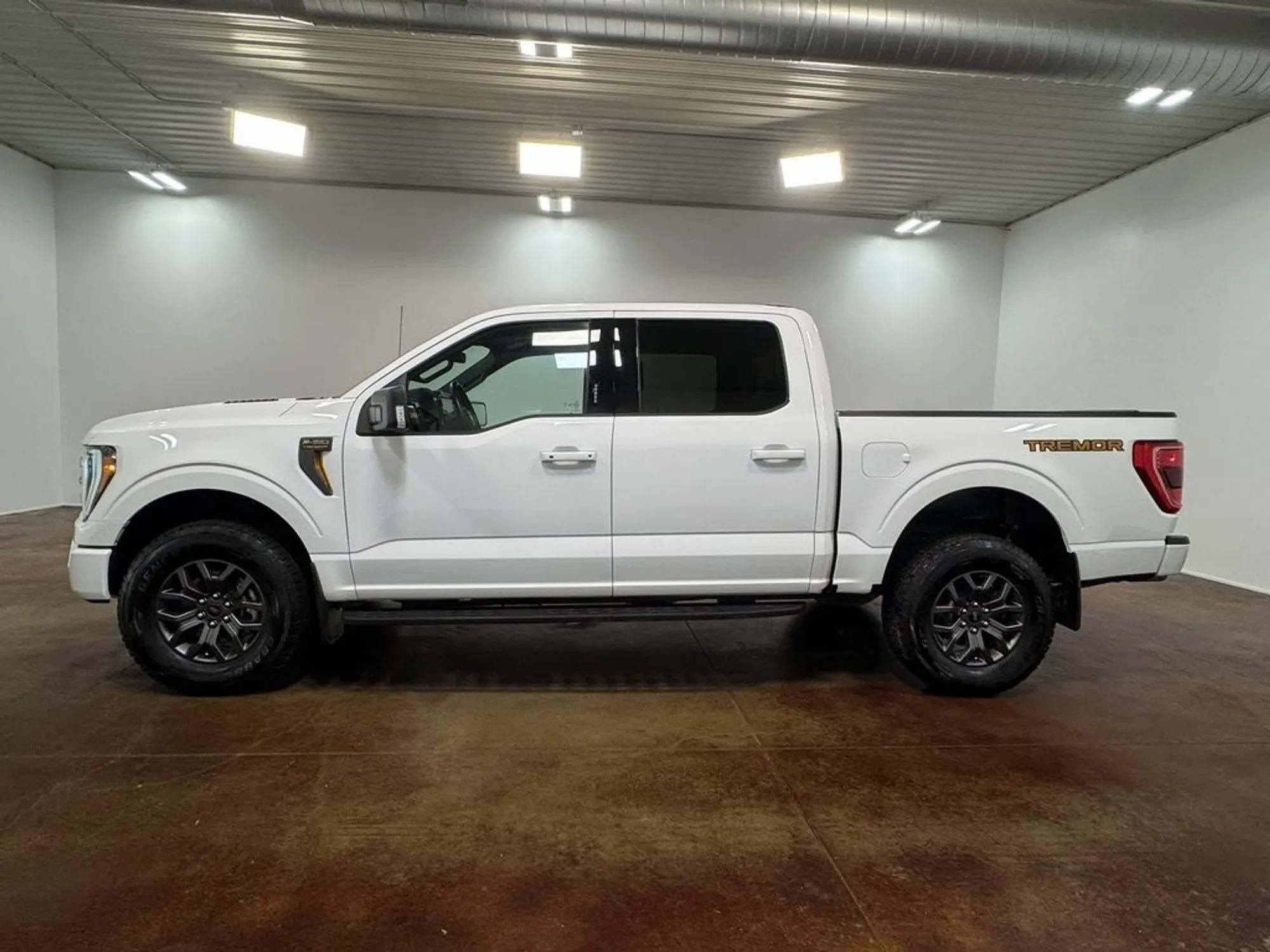 2023 Ford F-150 Tremor - 5