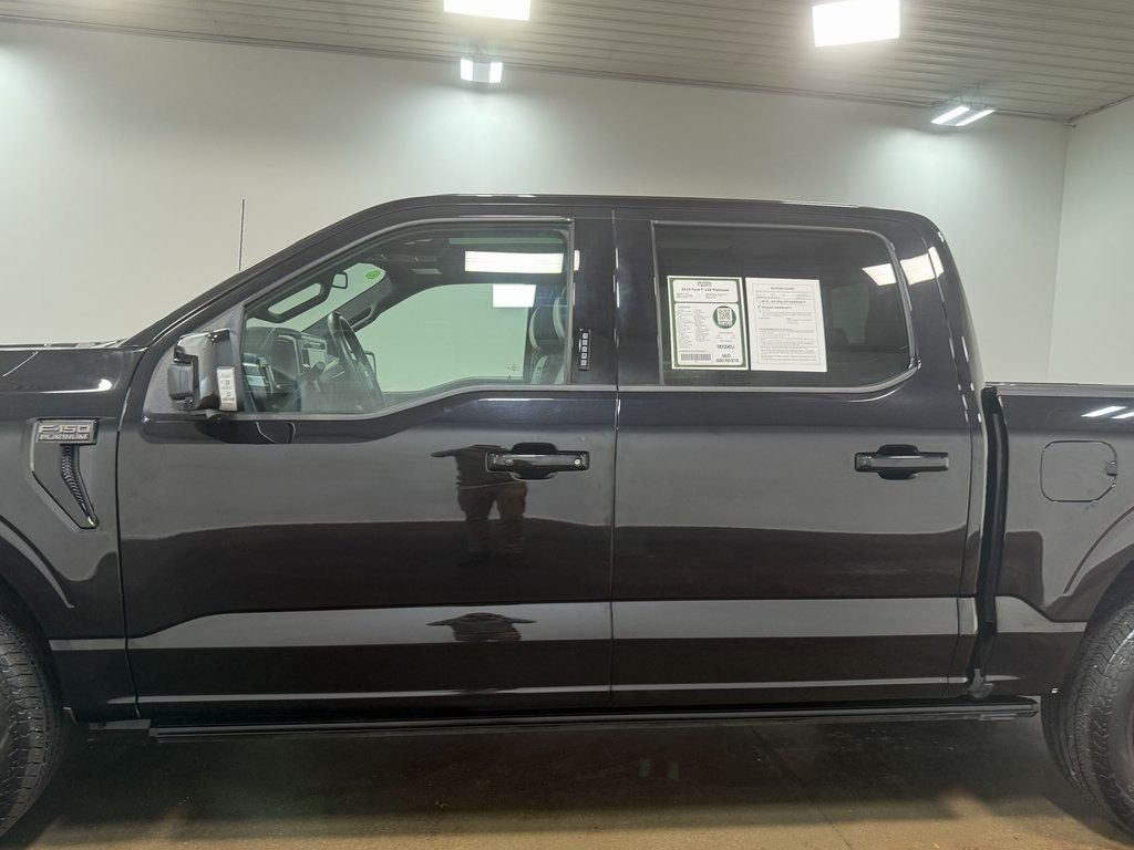 2024 Ford F-150 Platinum