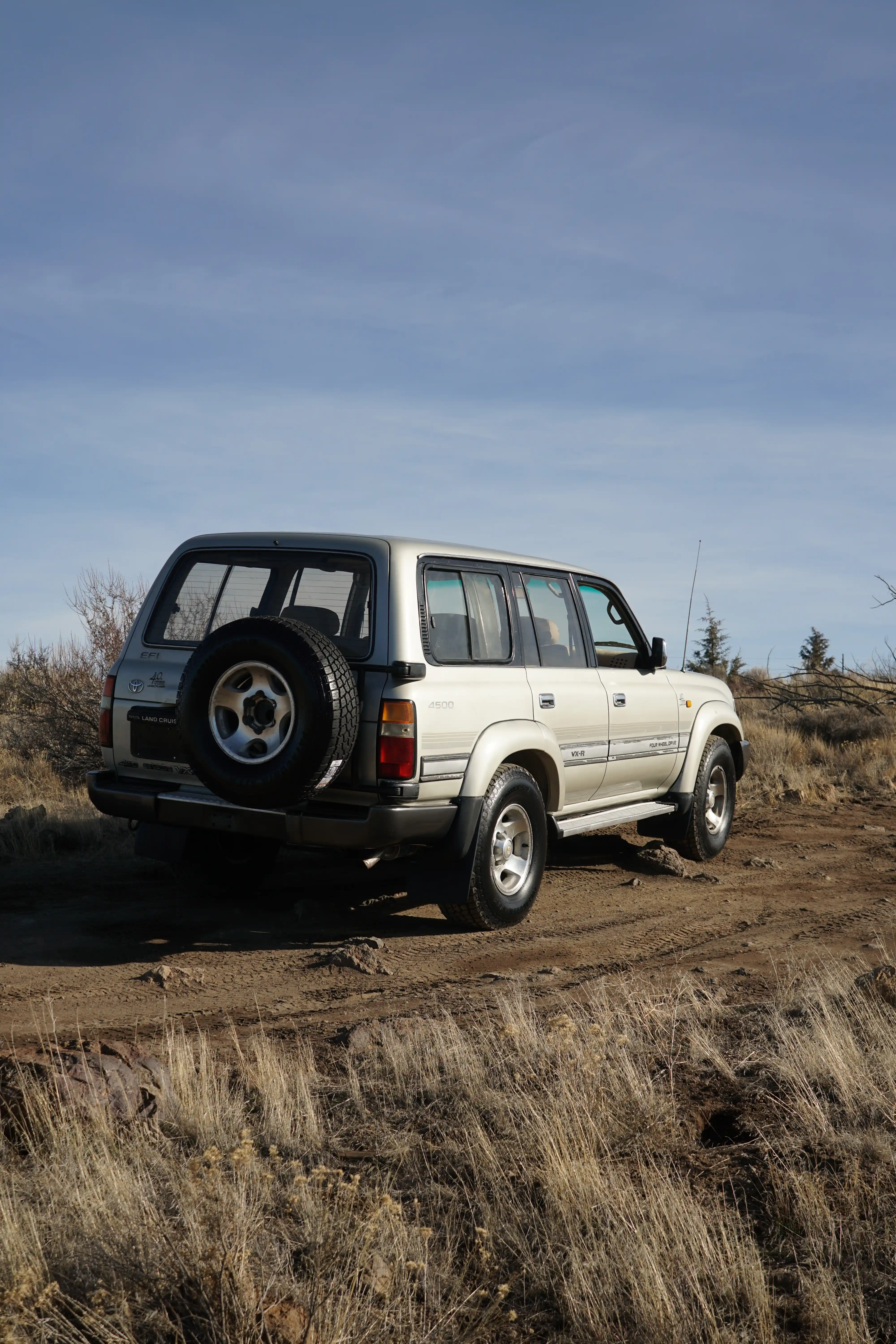 GCC Spec 1995 Toyota Land Cruiser - 3