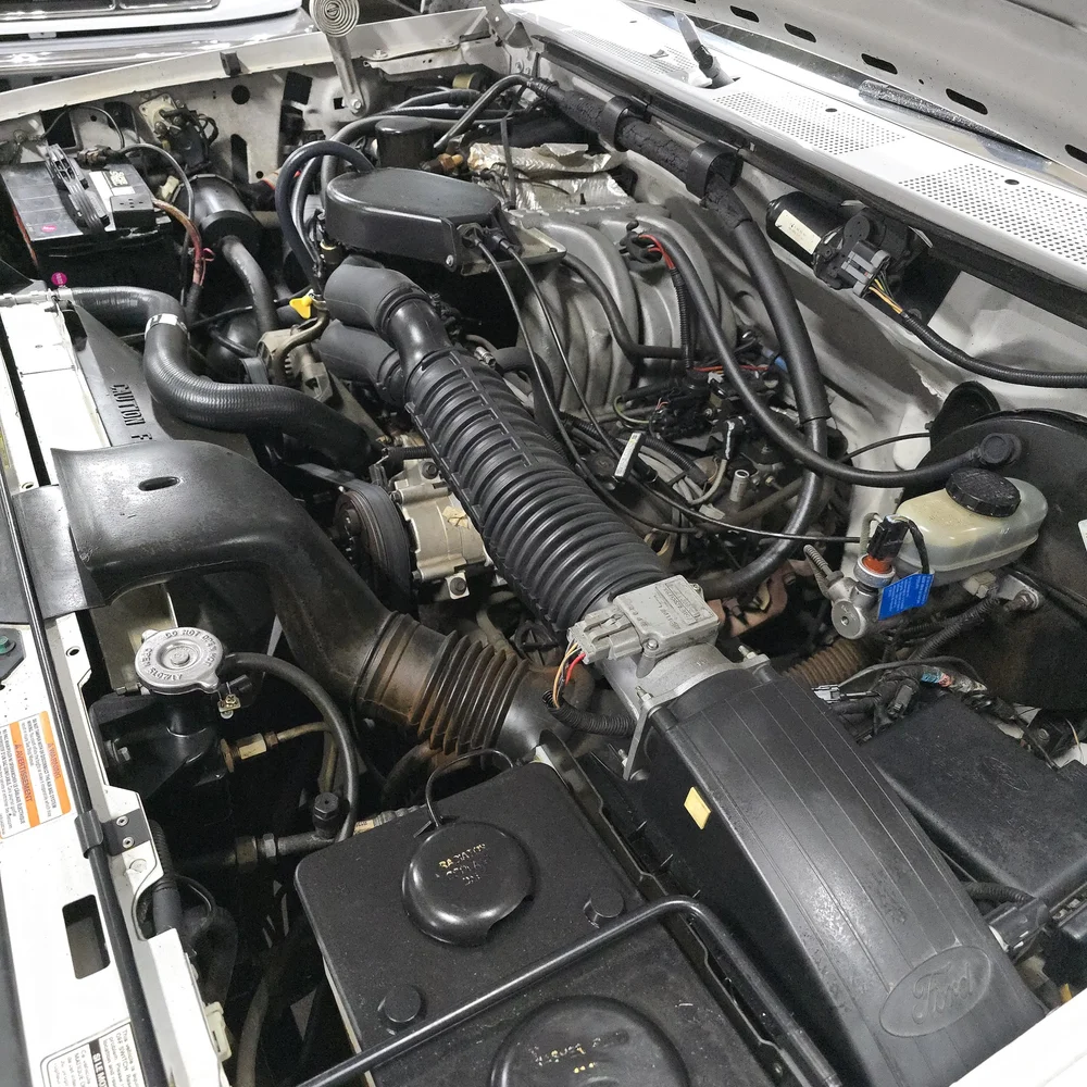 1995 Ford F-150 Eddie Bauer