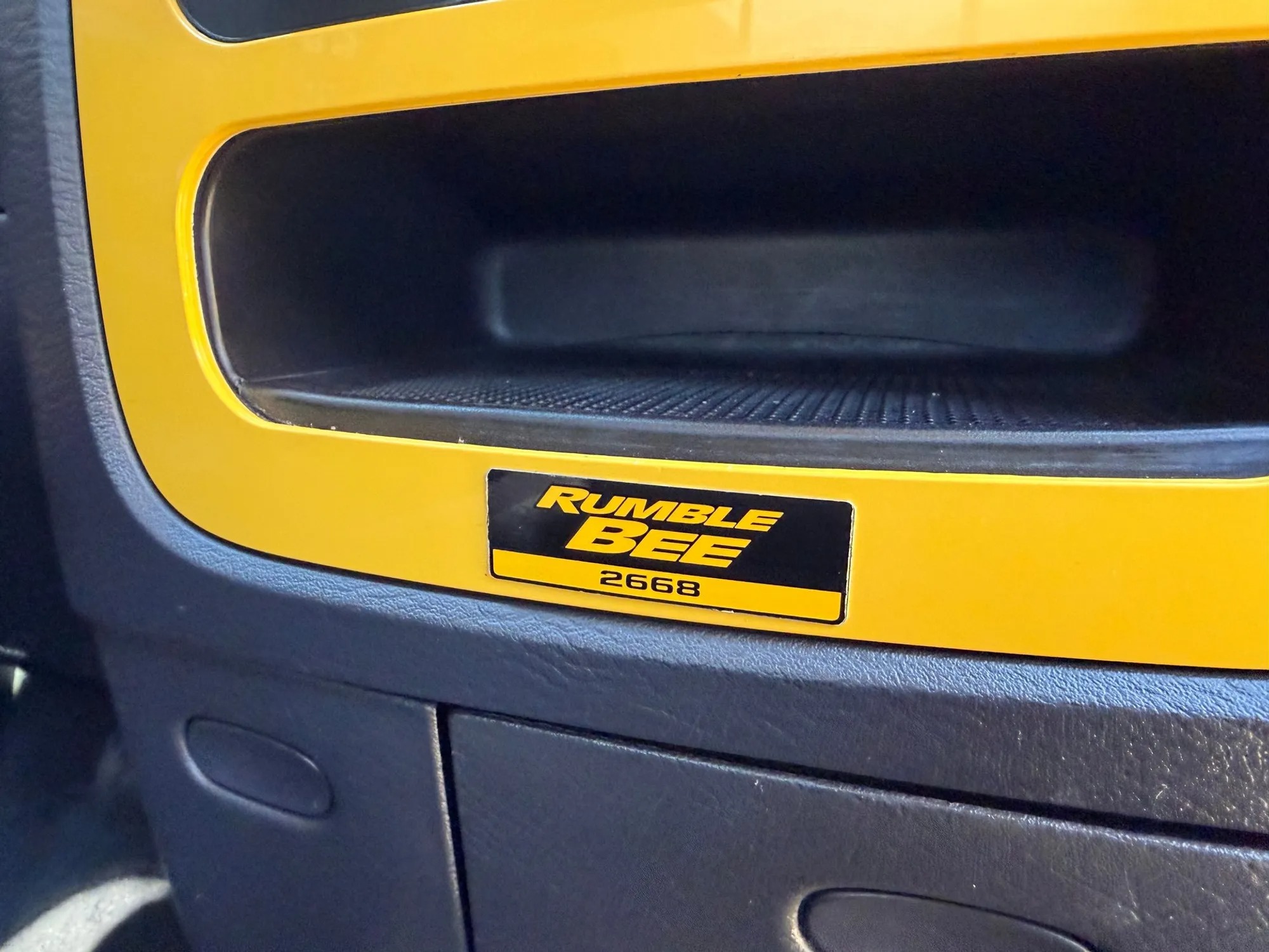 2004 Dodge Ram 1500 Rumble Bee