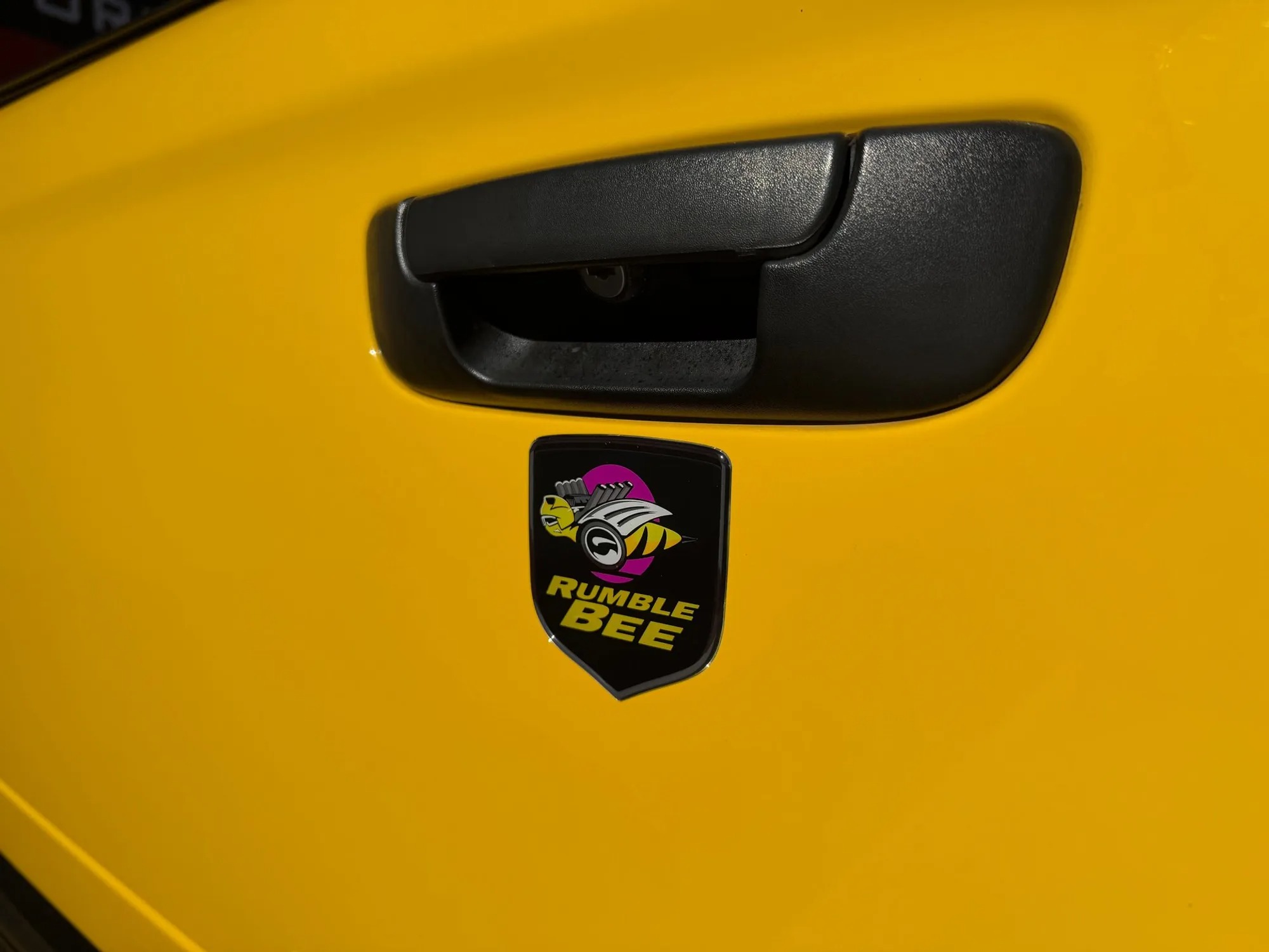 2004 Dodge Ram 1500 Rumble Bee