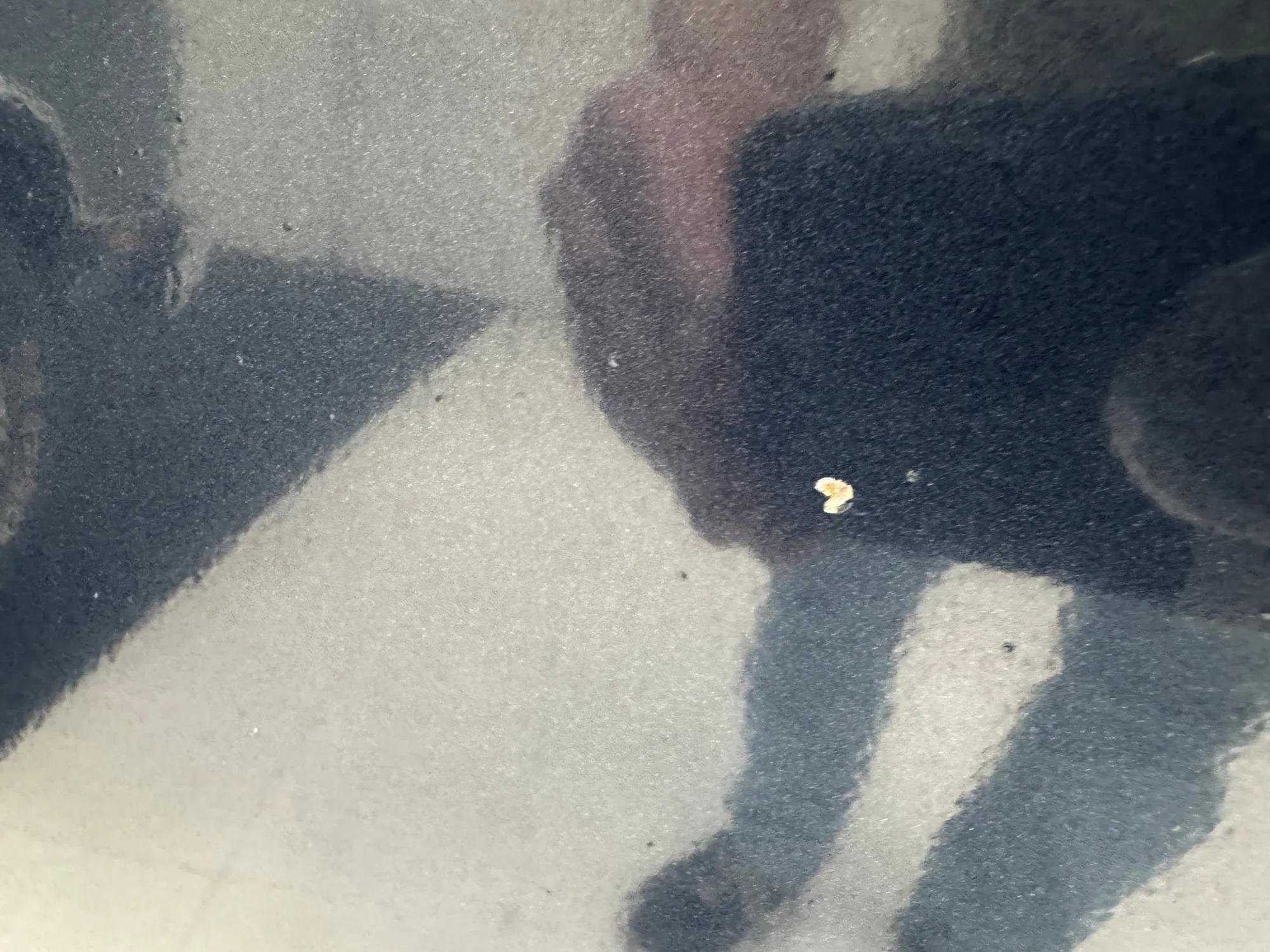 1987 Dodge Ramcharger 150 LE