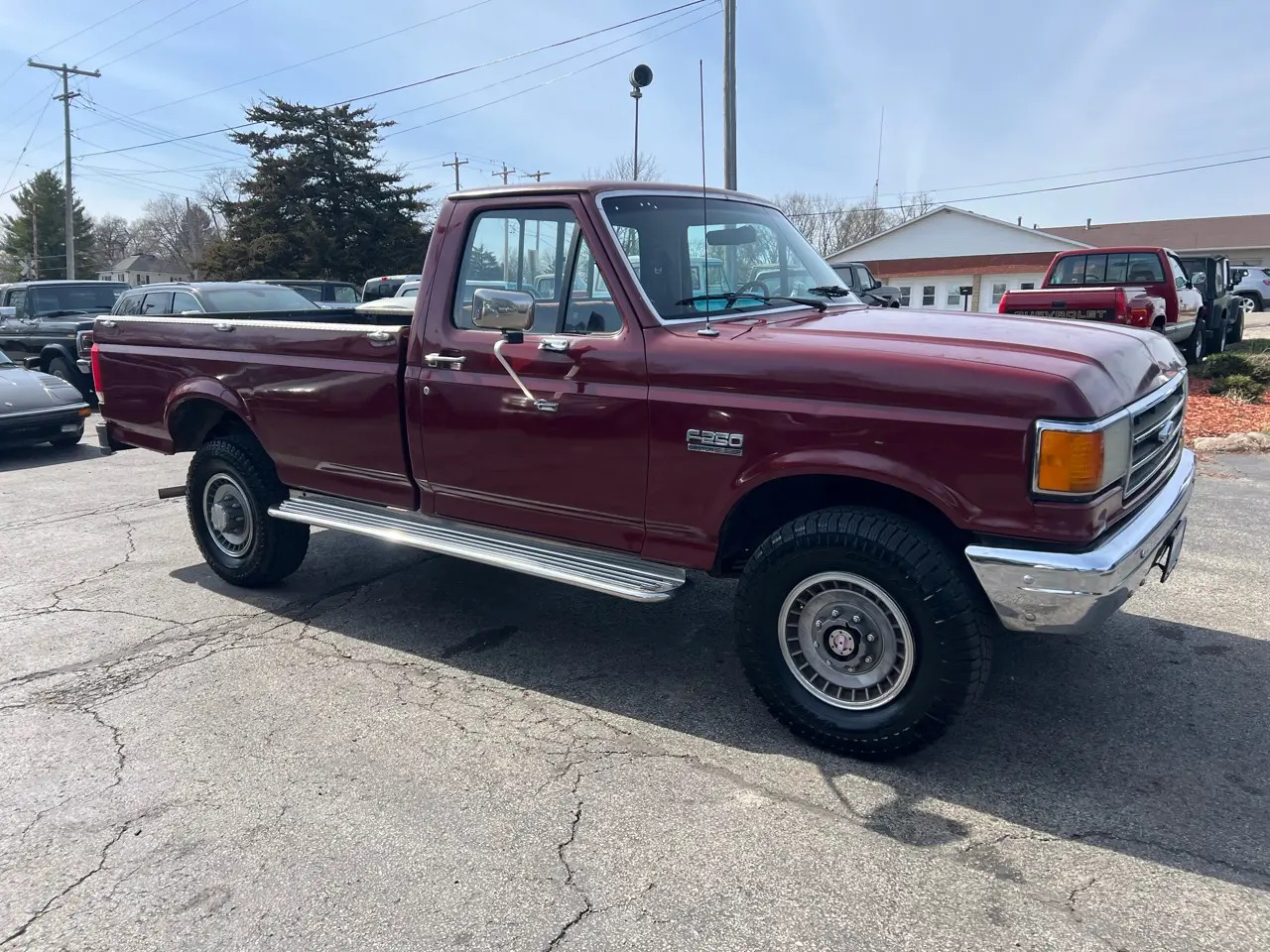 1989 Ford F-250 - 3