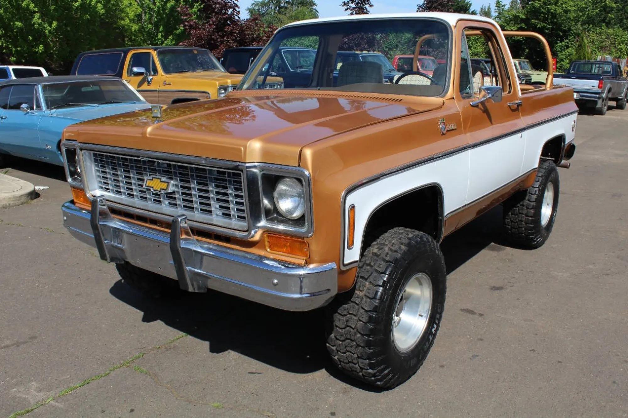 1979 Chevrolet K5 Blazer Cheyenne - 3