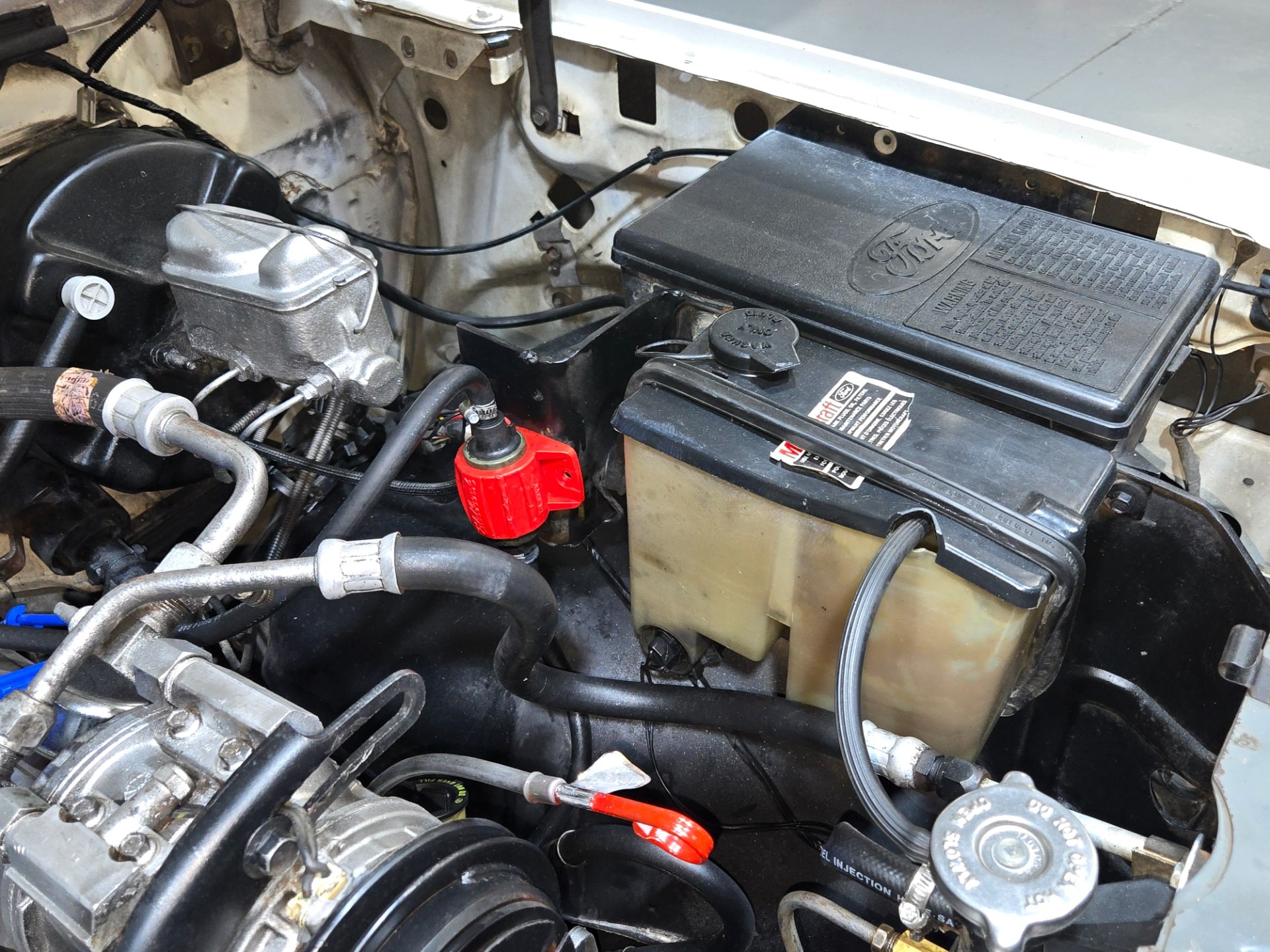 1984 Ford Bronco XLT