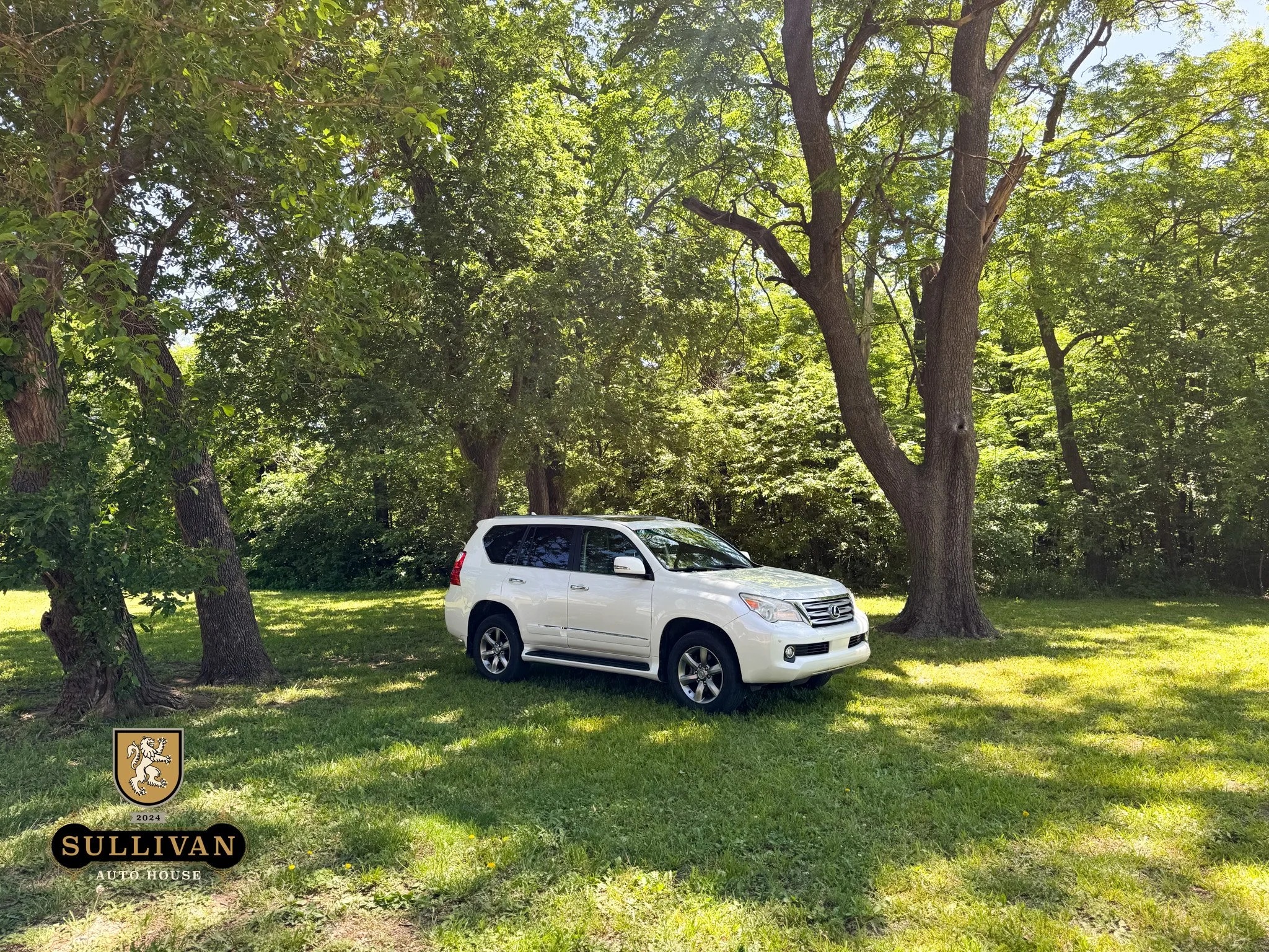 2012 Lexus GX 460