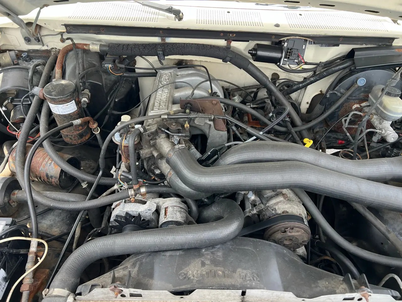 1988 Ford Bronco XLT