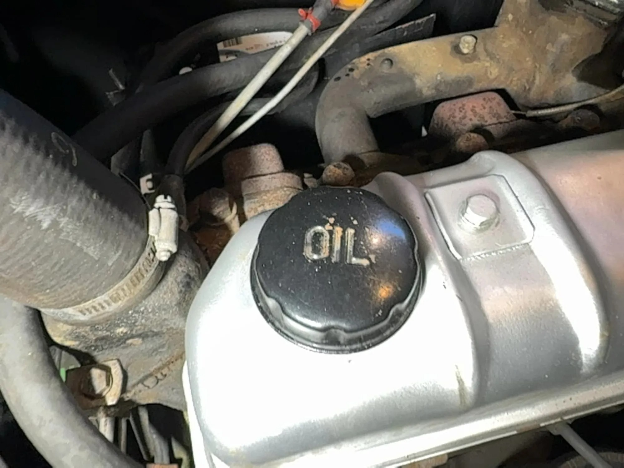 1955 International R-100