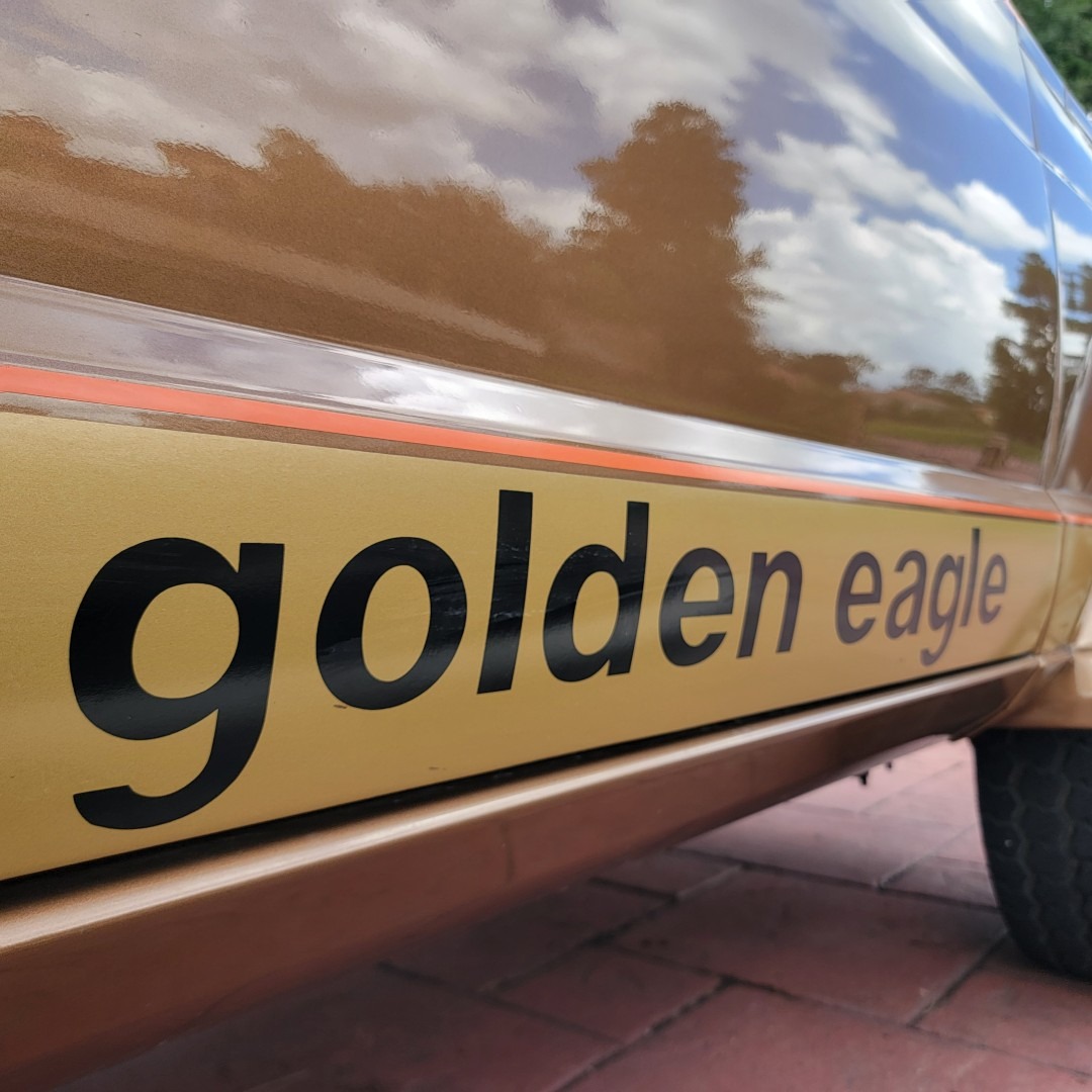1979 Jeep Cherokee Chief Golden Eagle - 5