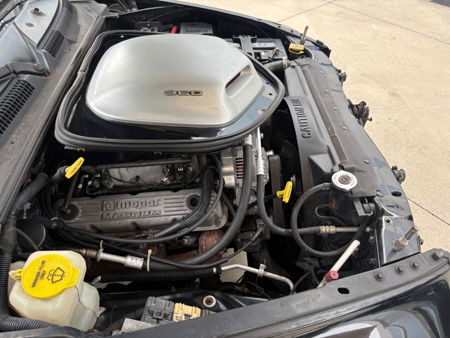 1999 Dodge Dakota R/T