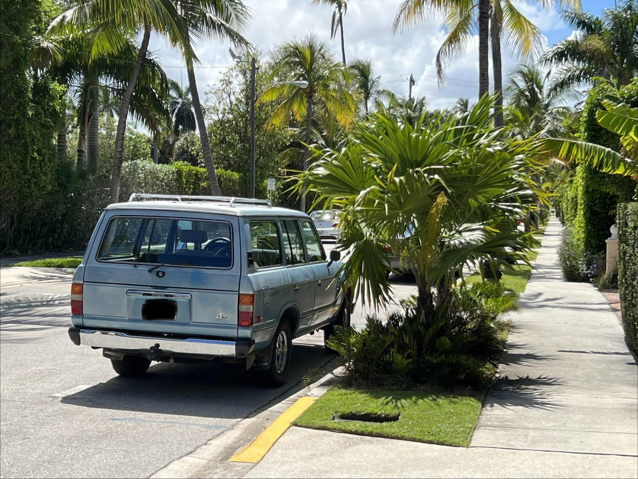 1983 Toyota Land Cruiser - 2