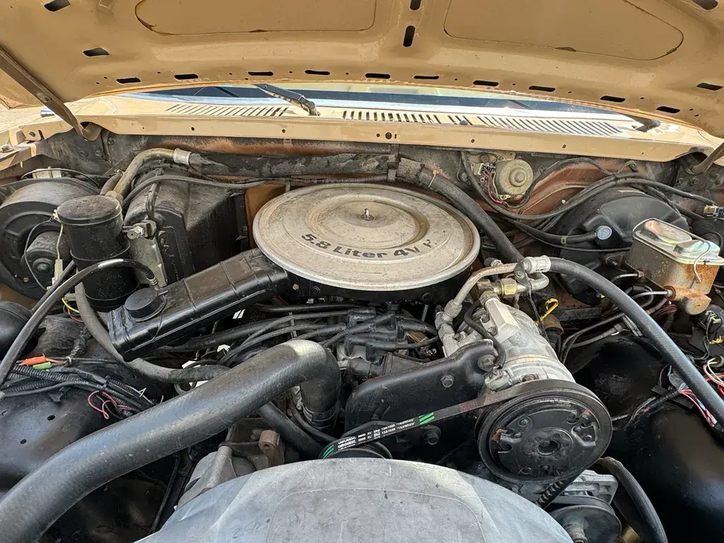 1985 Ford Bronco