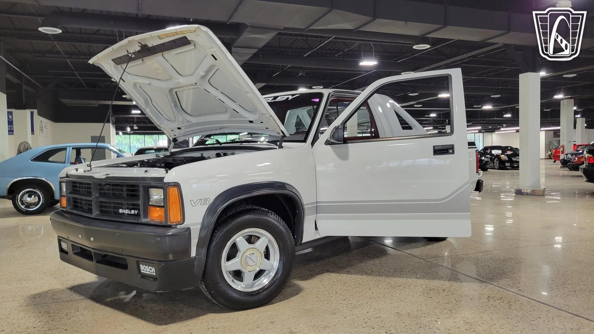 1989 Dodge Dakota Shelby