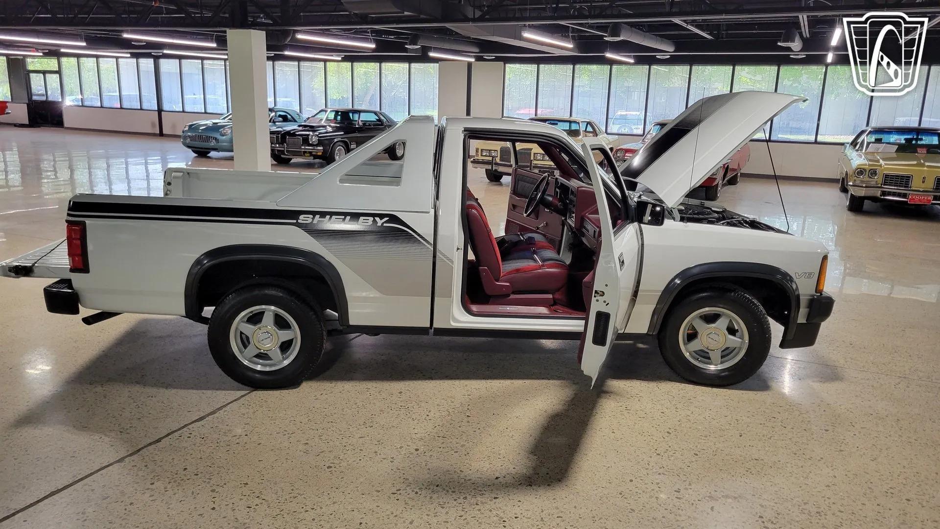 1989 Dodge Dakota Shelby