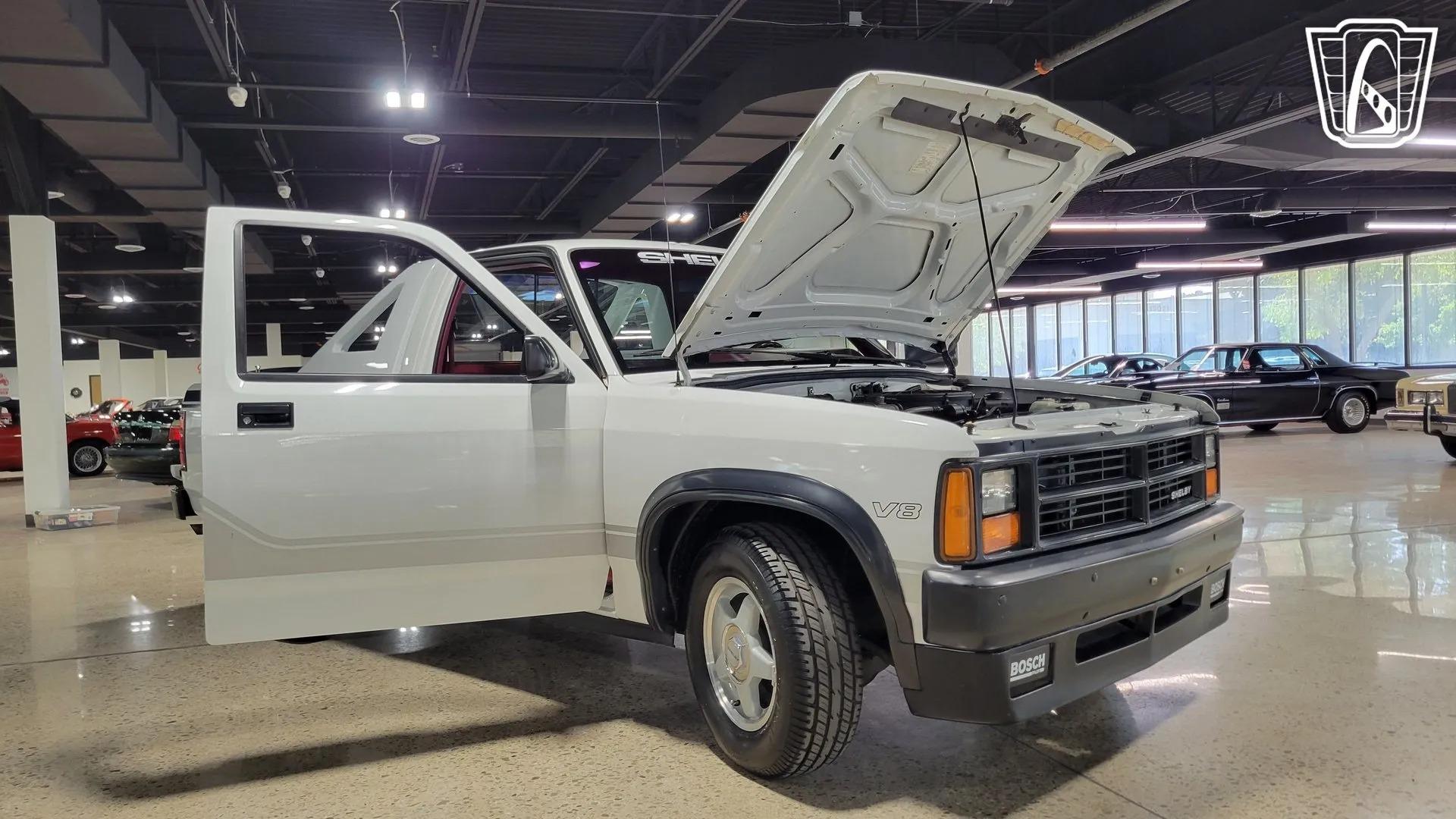 1989 Dodge Dakota Shelby