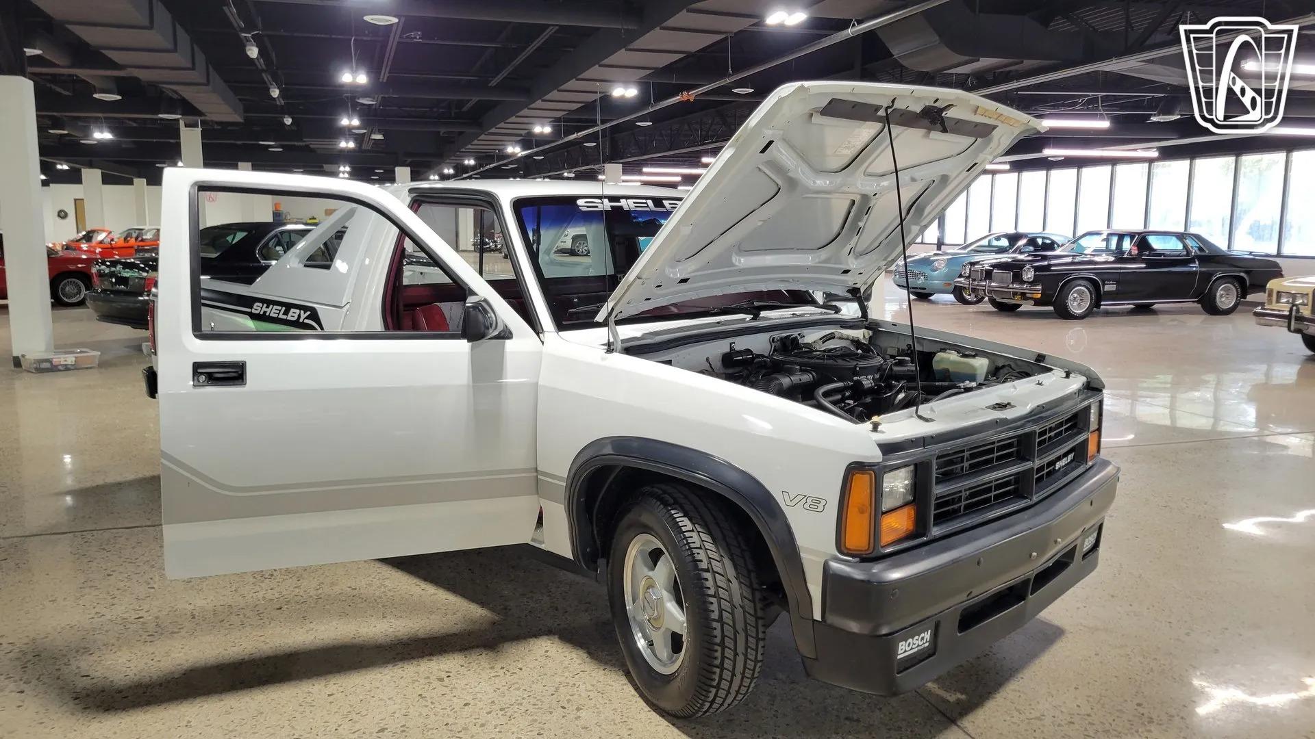 1989 Dodge Dakota Shelby