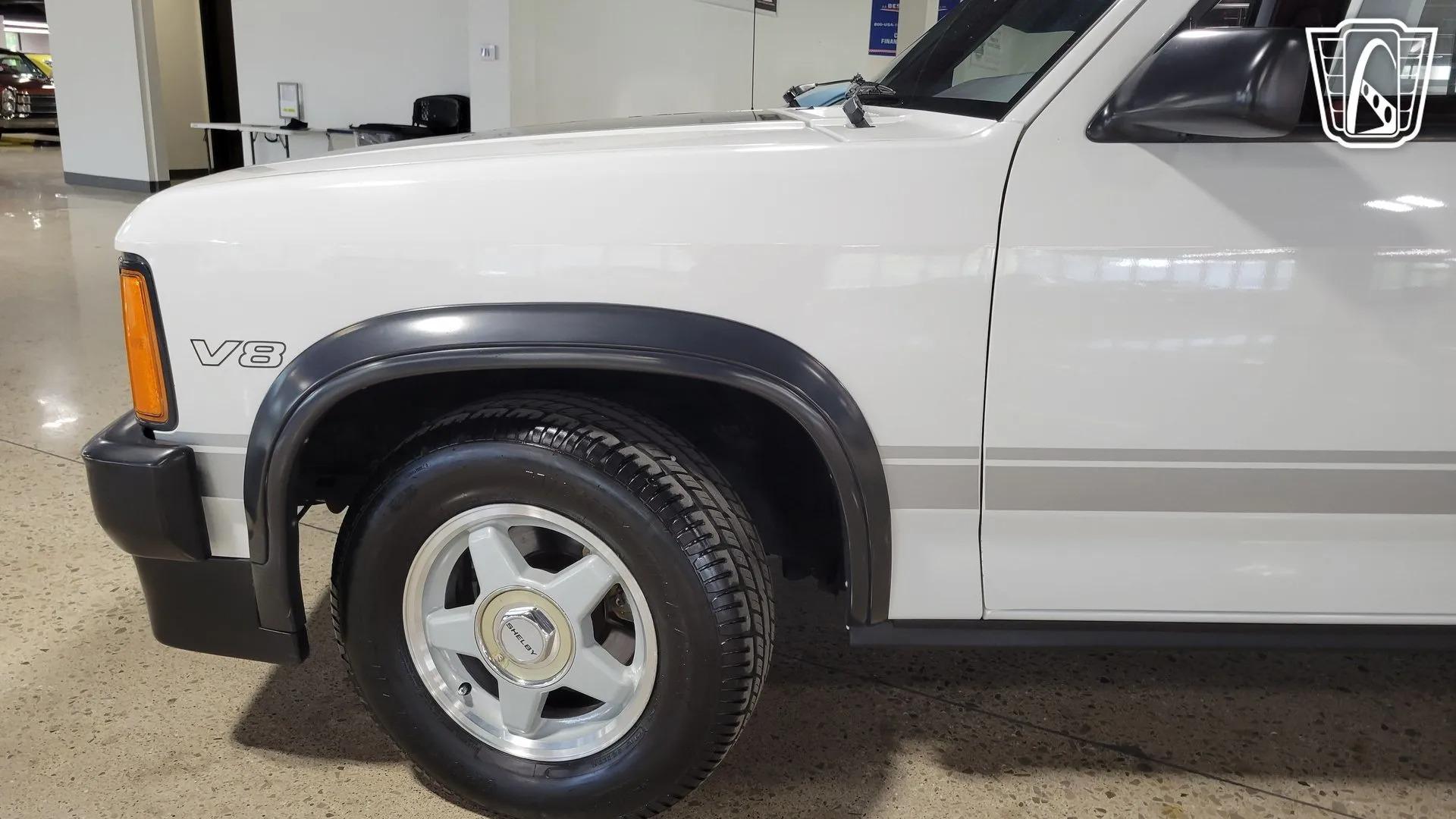 1989 Dodge Dakota Shelby