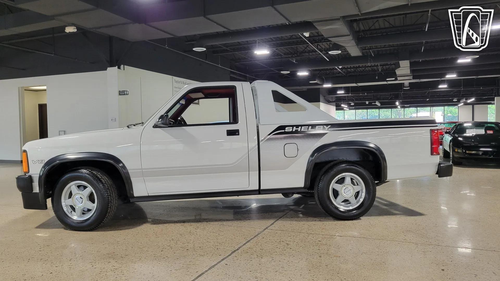 1989 Dodge Dakota Shelby - 3