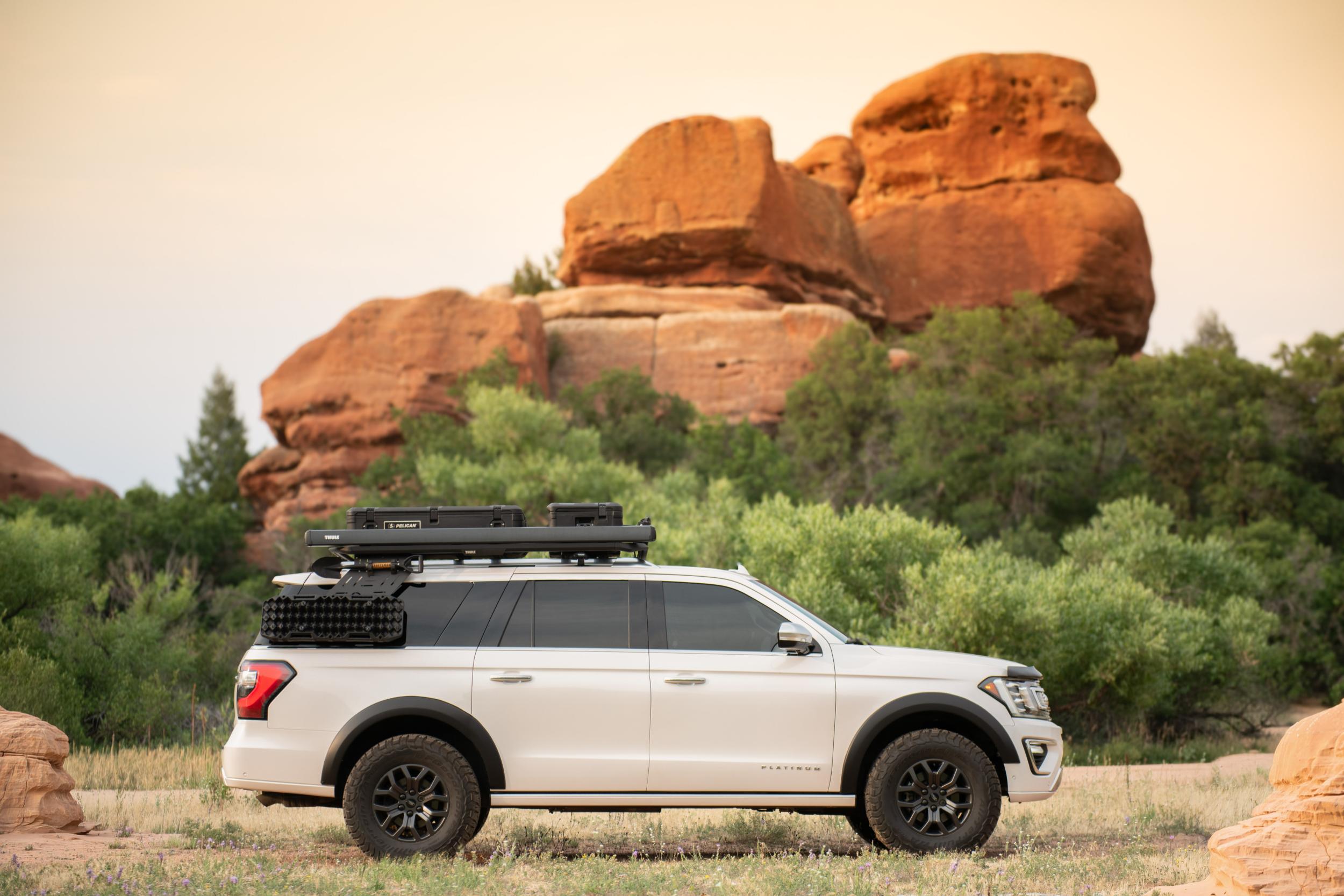 2018 Ford Expedition MAX Platinum - 2