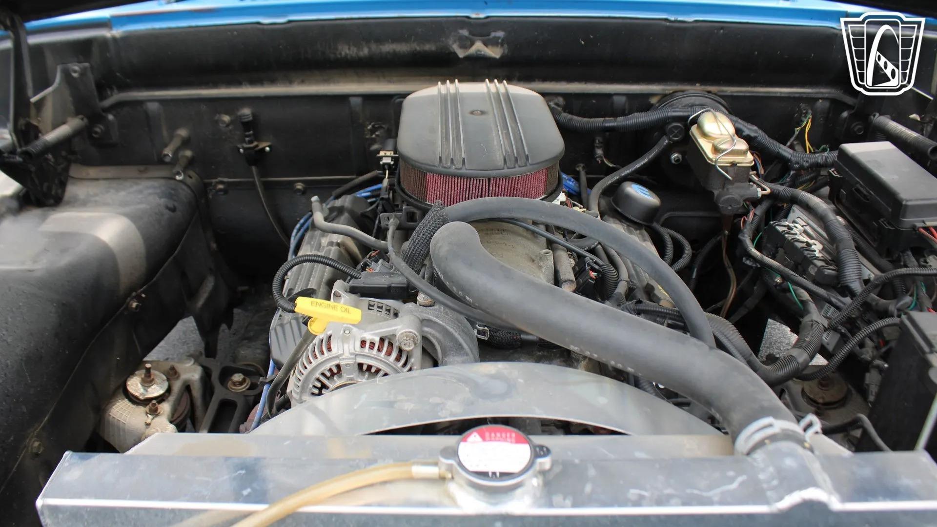 1965 Dodge D100