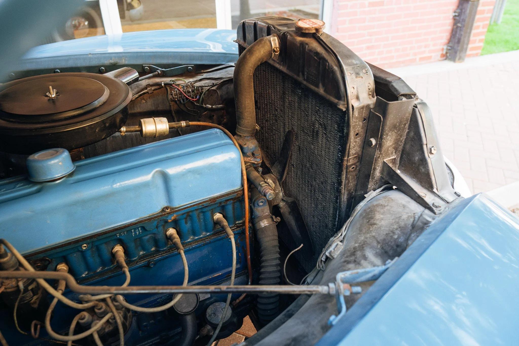 1954 Chevrolet 3100 Pickup