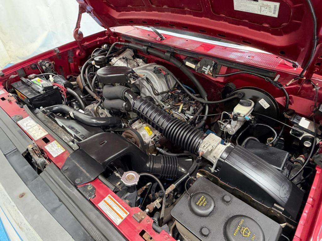 1995 Ford F-150 Eddie Bauer