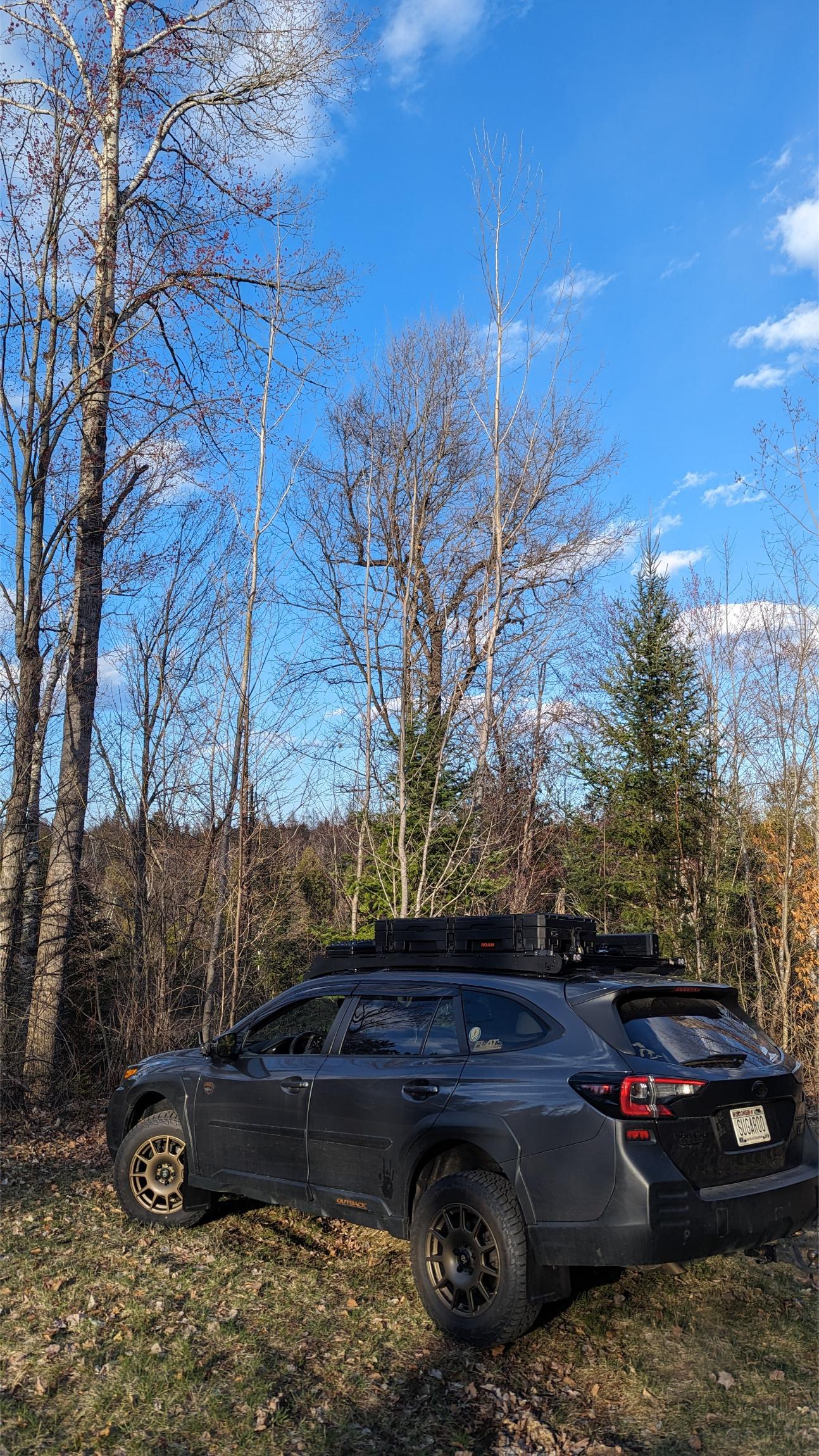Sold: Modified 2023 Subaru Outback Wilderness