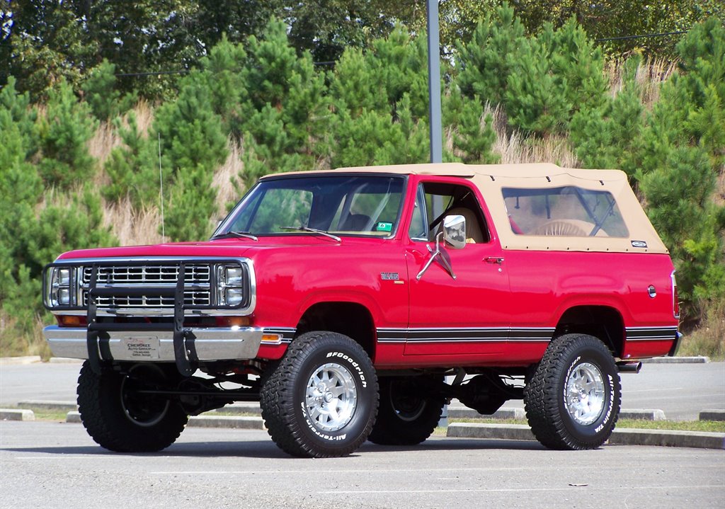 1979 Plymouth Trail Duster-1
