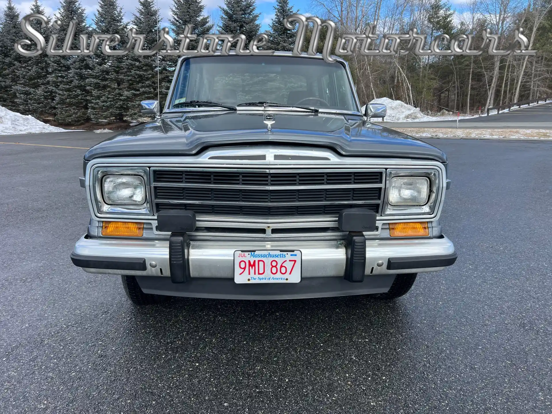 1989 Jeep Grand Wagoneer