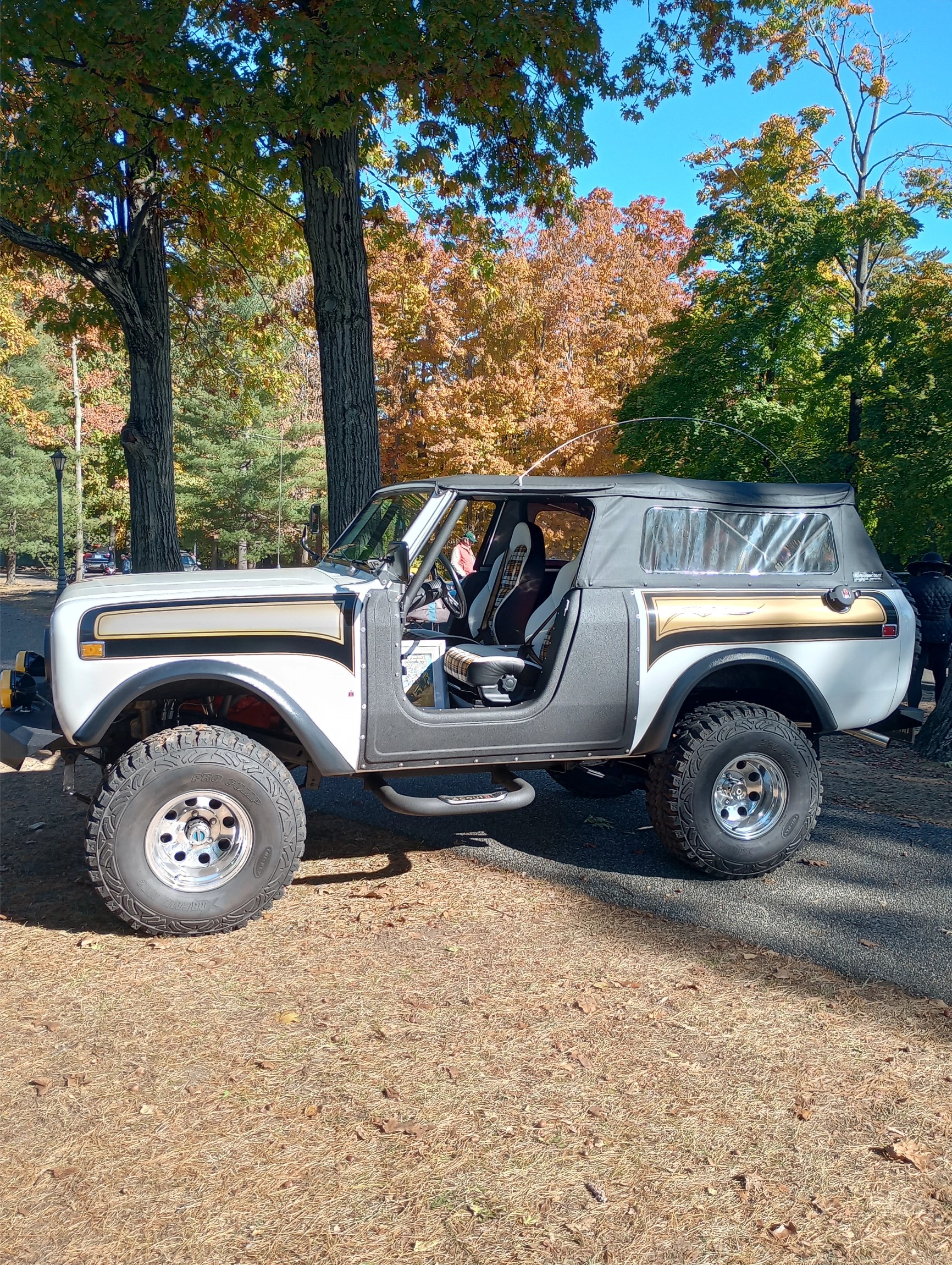 Sold: 1977 International Harvester Super Scout II