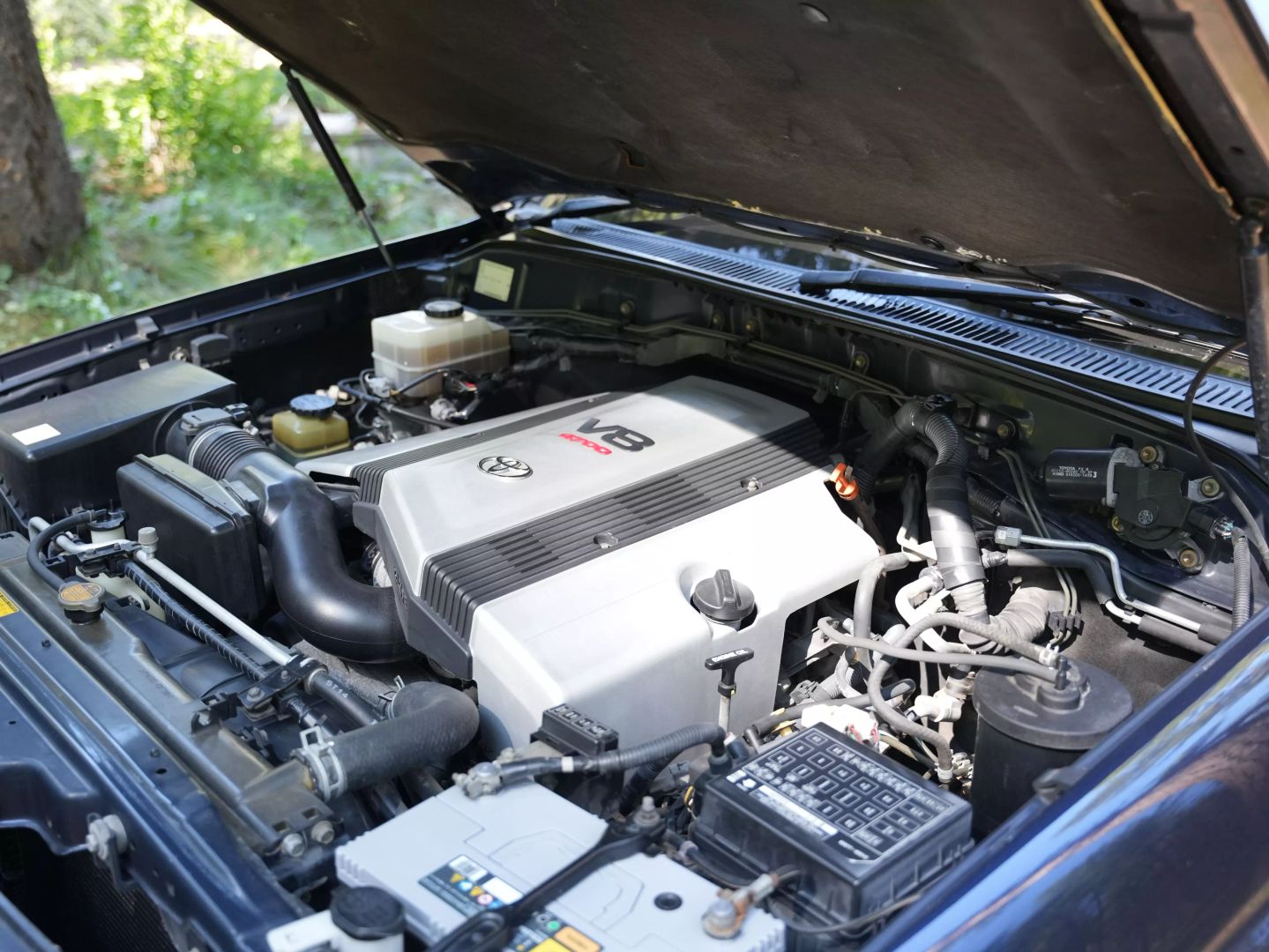 1998 Toyota Land Cruiser VX Limited - 2