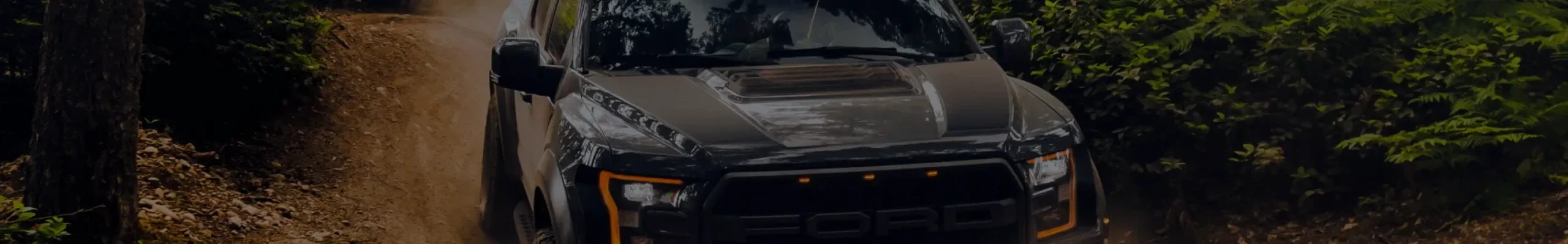 1985 Ford Bronco Custom