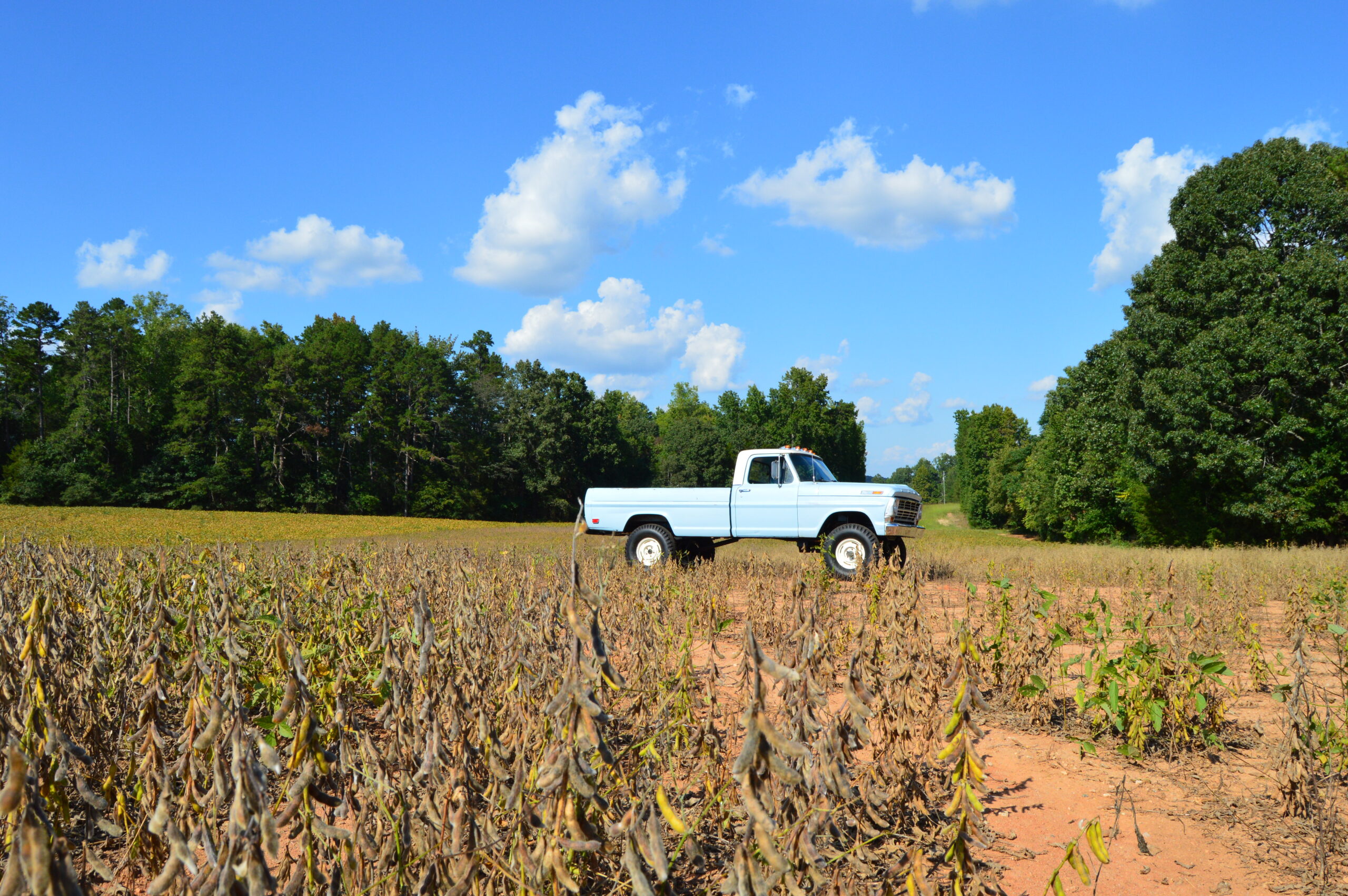 Sold: 1969 Ford F-100 4x4