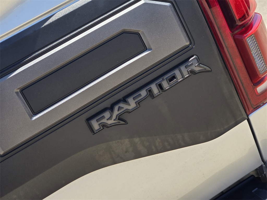 2019 Ford F-150 Raptor