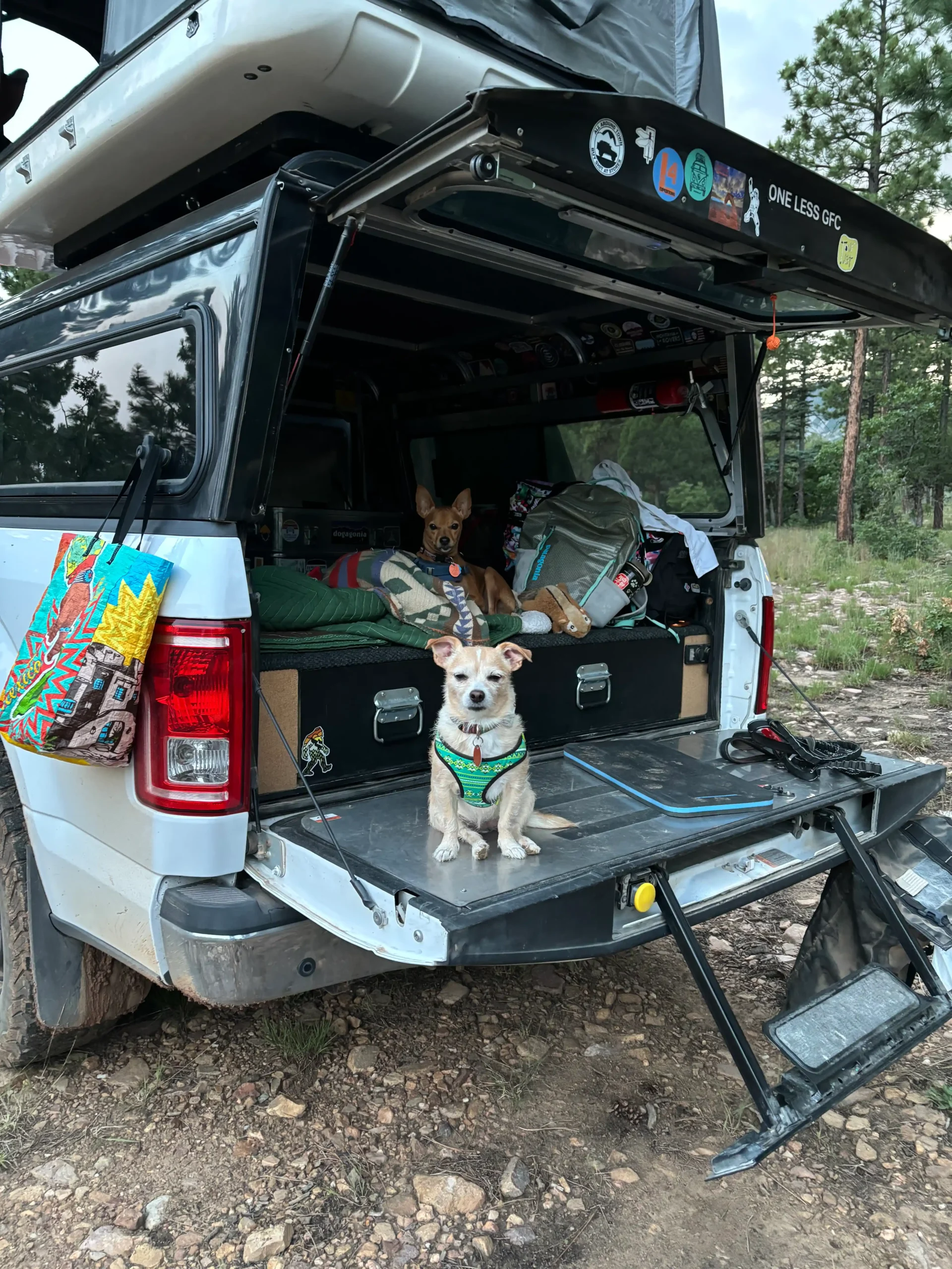 2016 Ford F-150 XLT FX4 Overlander - 4