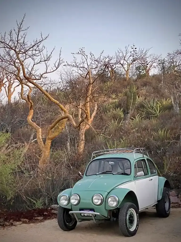 Baja-Style 1974 Volkswagen Beetle