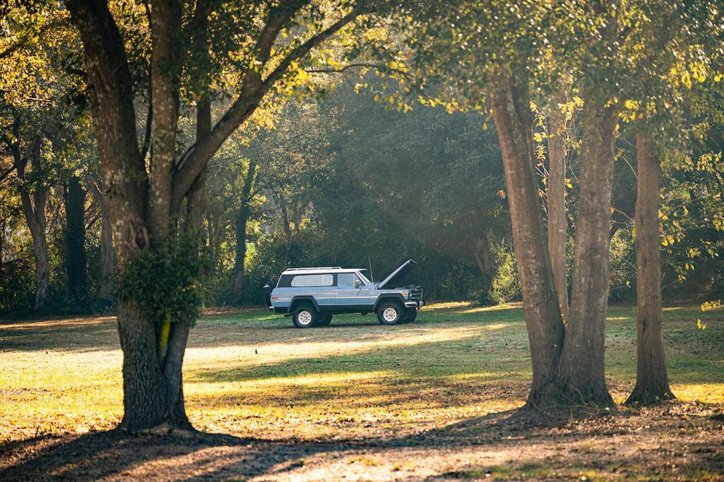 Sold: 1980 Jeep Cherokee Chief