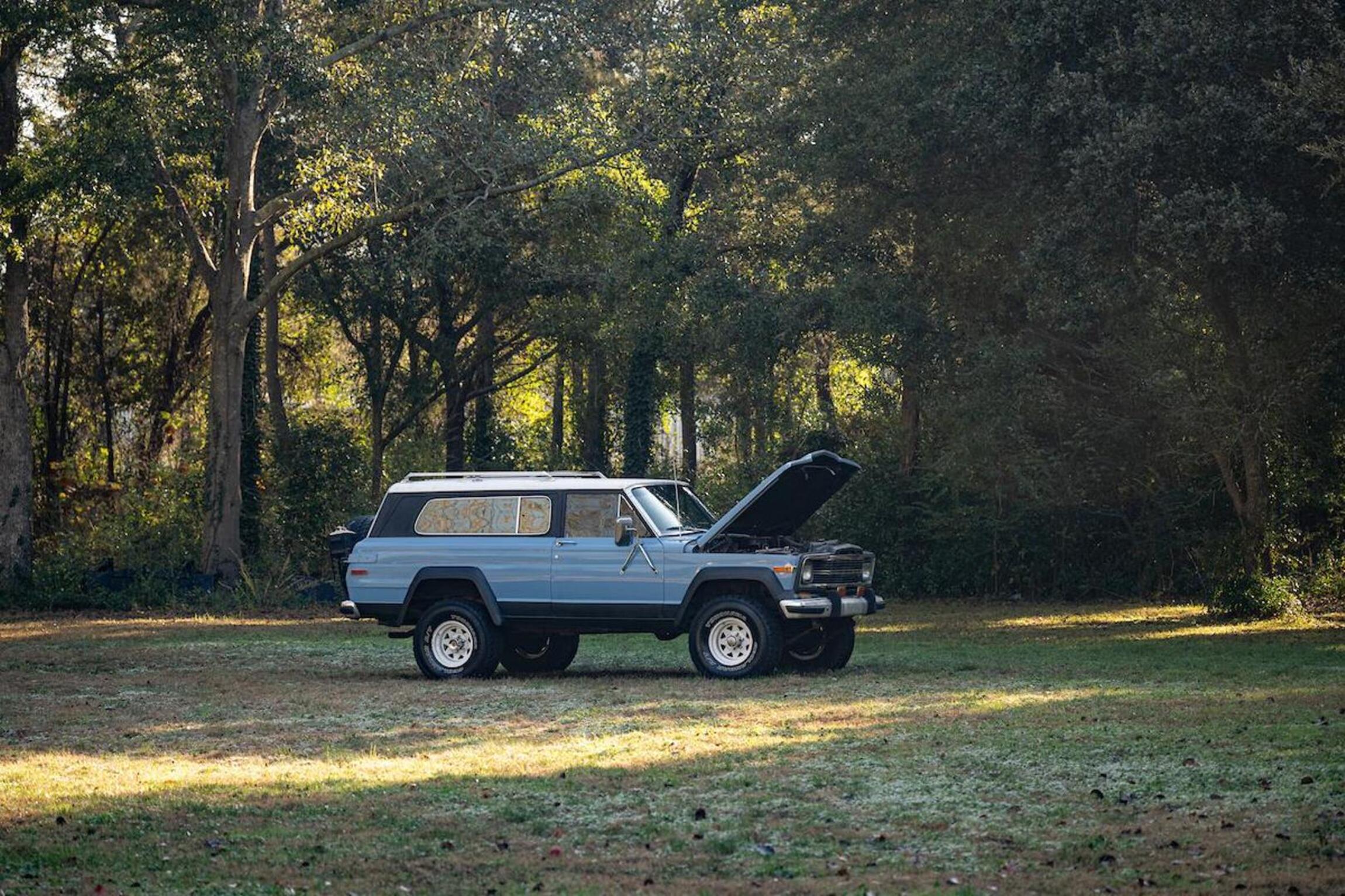 Sold: 1980 Jeep Cherokee Chief