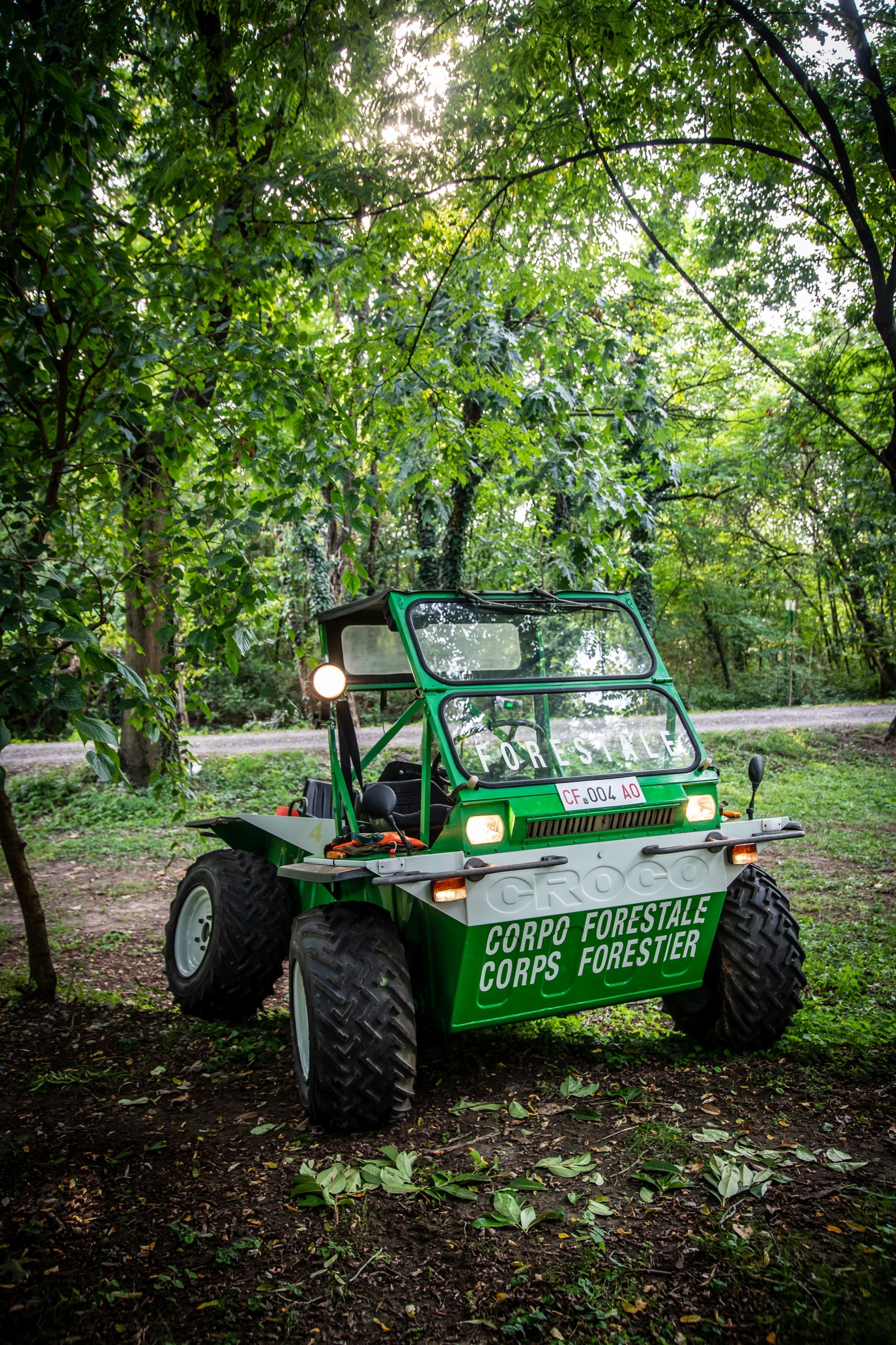 Sold: 1983 TAG Croco 4x4